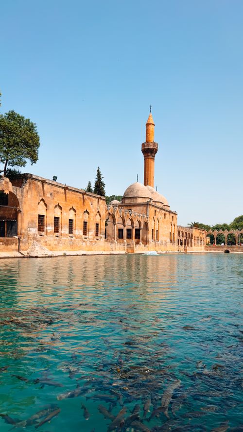Free A scenic view of a historic mosque with a fish-filled pond under a clear blue sky in Şanlıurfa, Turkey. Stock Photo