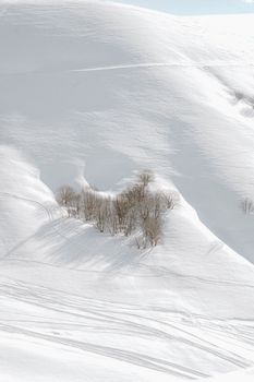 Photograph of snow-covered hills and bare trees casting shadows in a winter landscape.