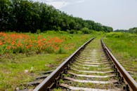 Railroad Tracks through Flowering Field in Summer