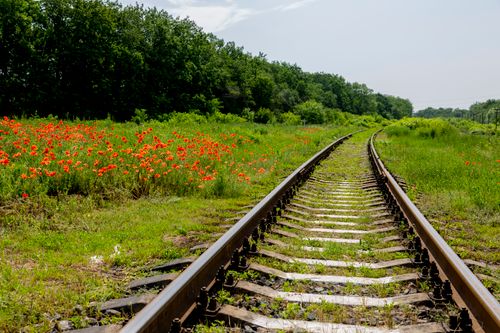 Free Railroad tracks curve through a lush green field with vibrant red poppies under a clear summer sky. Stock Photo