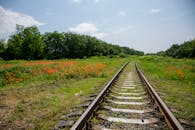 Vibrant Railway Tracks Surrounded by Wildflowers