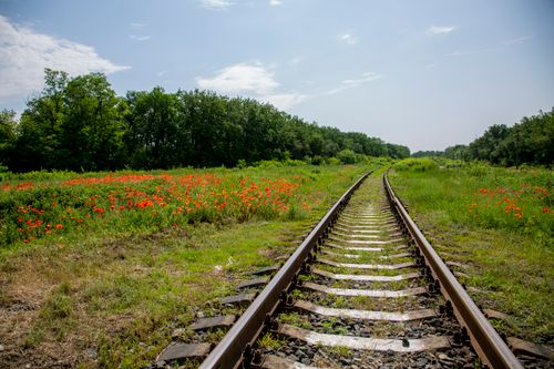 Free Rustic railway tracks surrounded by lush green fields and vibrant wildflowers under a sunny sky. Stock Photo