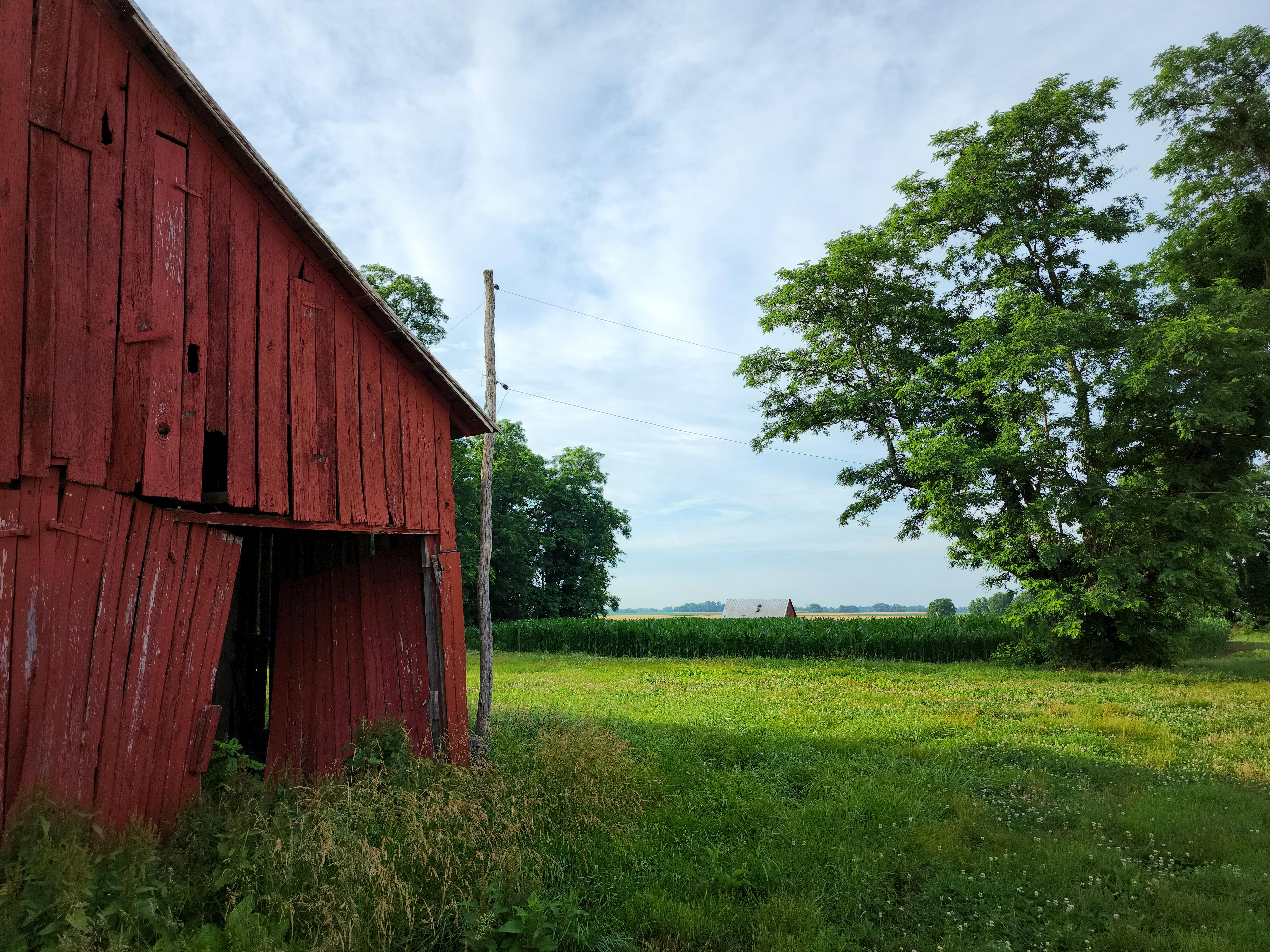Δωρεάν Ένας φθαρμένος κόκκινος αχυρώνας στέκεται σε ένα καταπράσινο τοπίο κάτω από έναν λαμπερό ουρανό. Φωτογραφία από στοκ φωτογραφιών