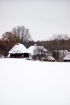 Rustic thatched-roof houses in a snowy rural setting create a serene winter landscape.