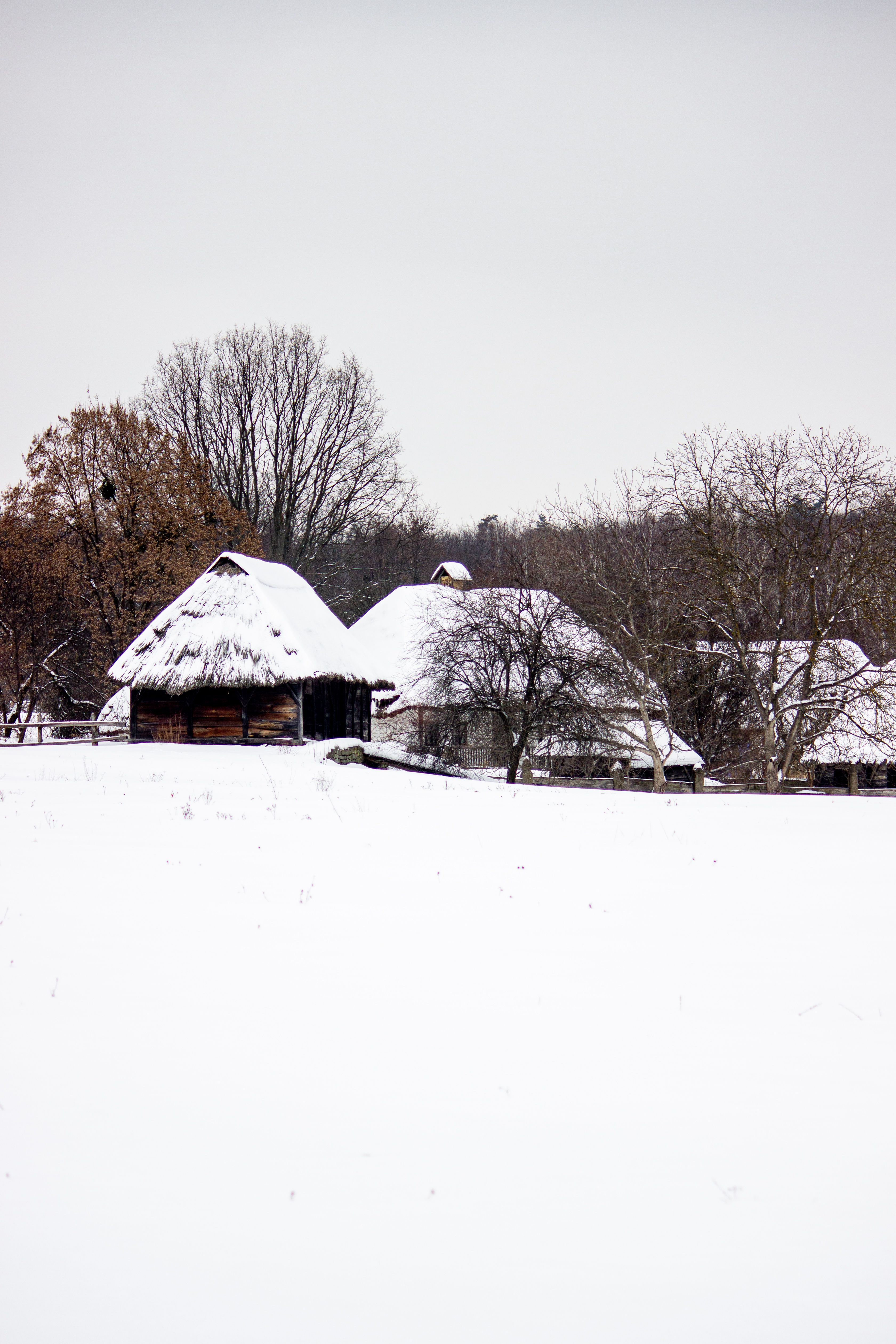 Traditional Snow-Covered Rural Farmhouse Scene · Free Stock Photo