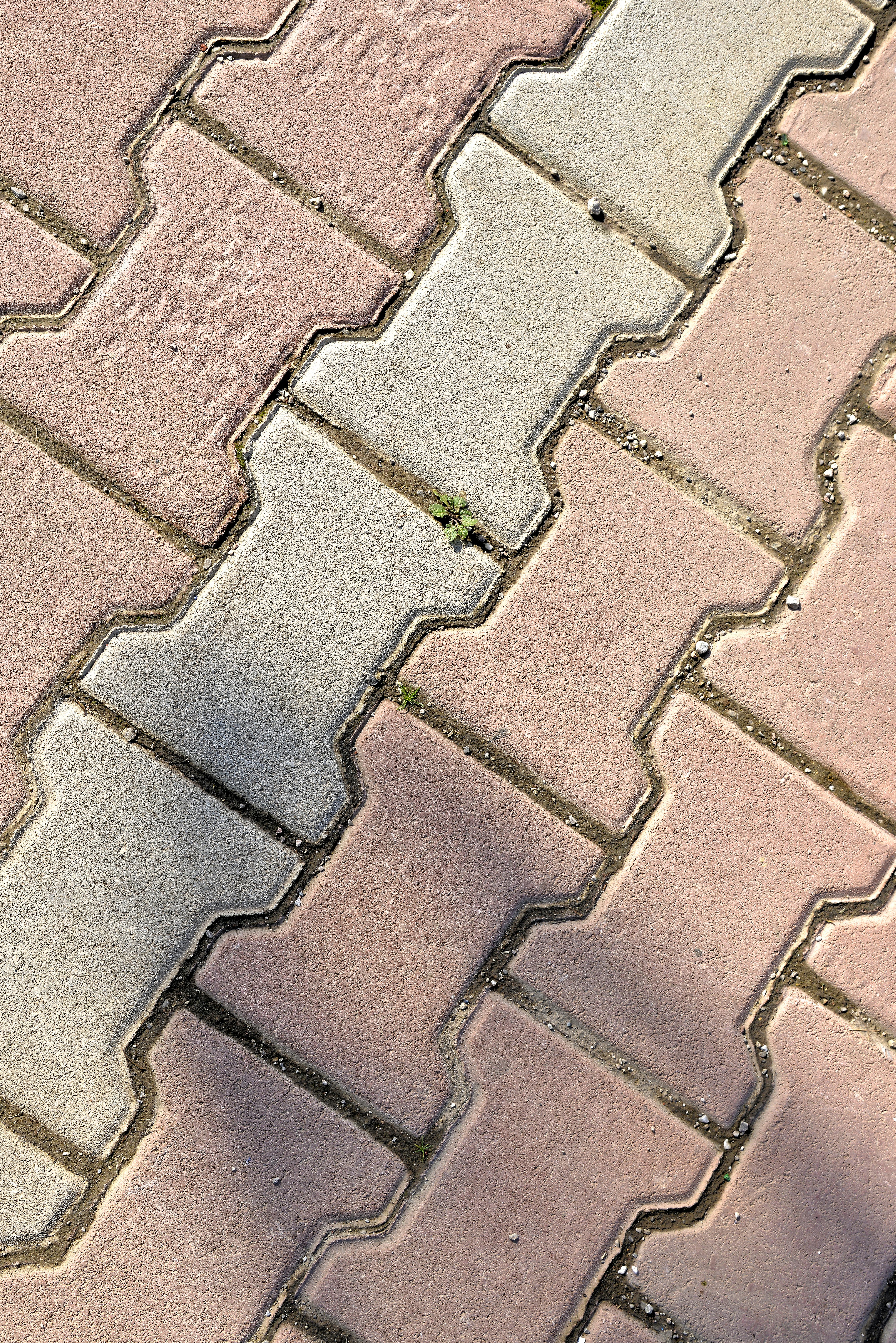 Zadarmo Detailný záber na prepletenú tehlovú dlažbu vrhajúcu tiene v meste Fès v Maroku. Fotka z fotobanky