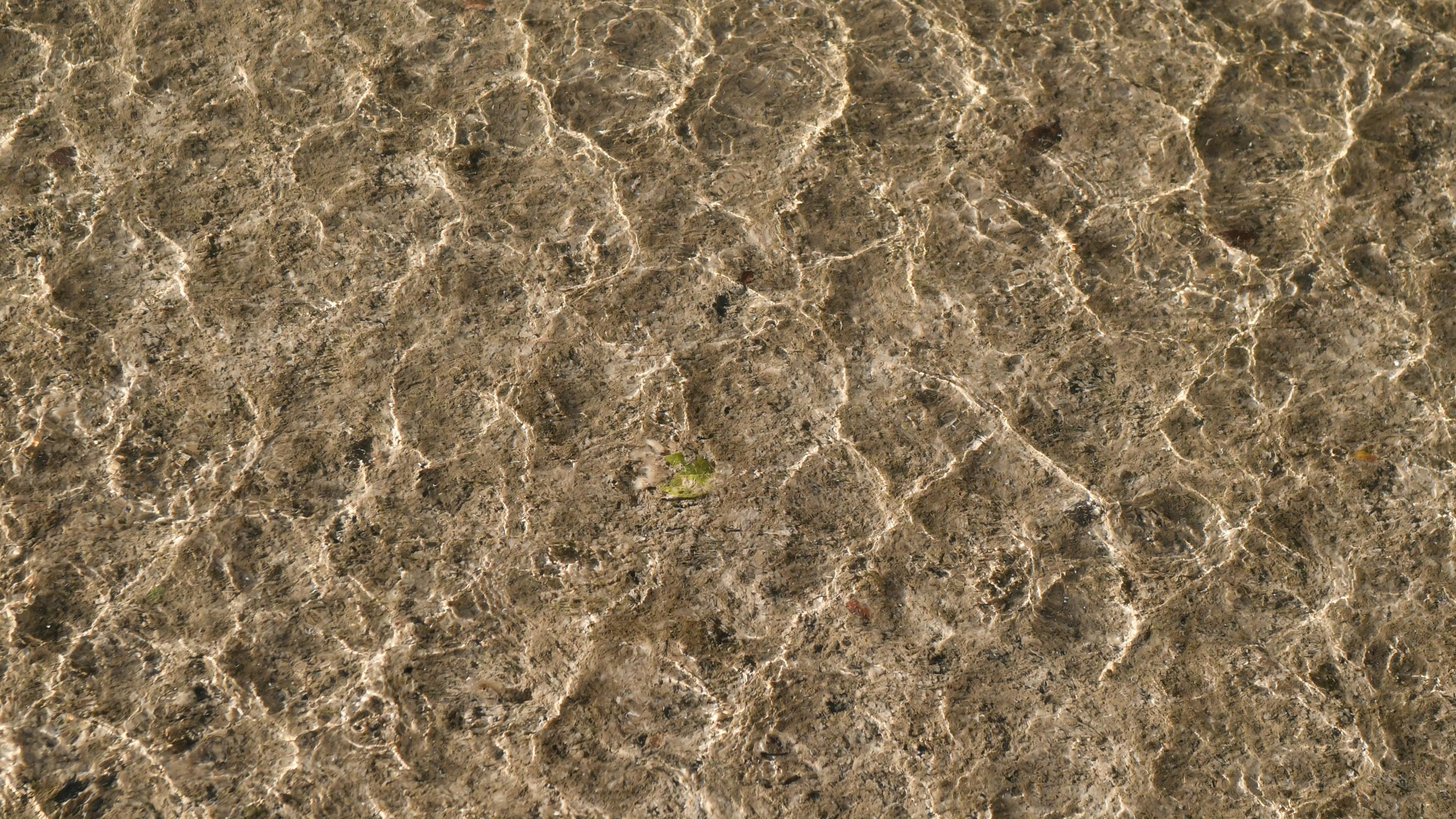 Free Texture of a rippling water surface revealing the underwater ground. Stock Photo