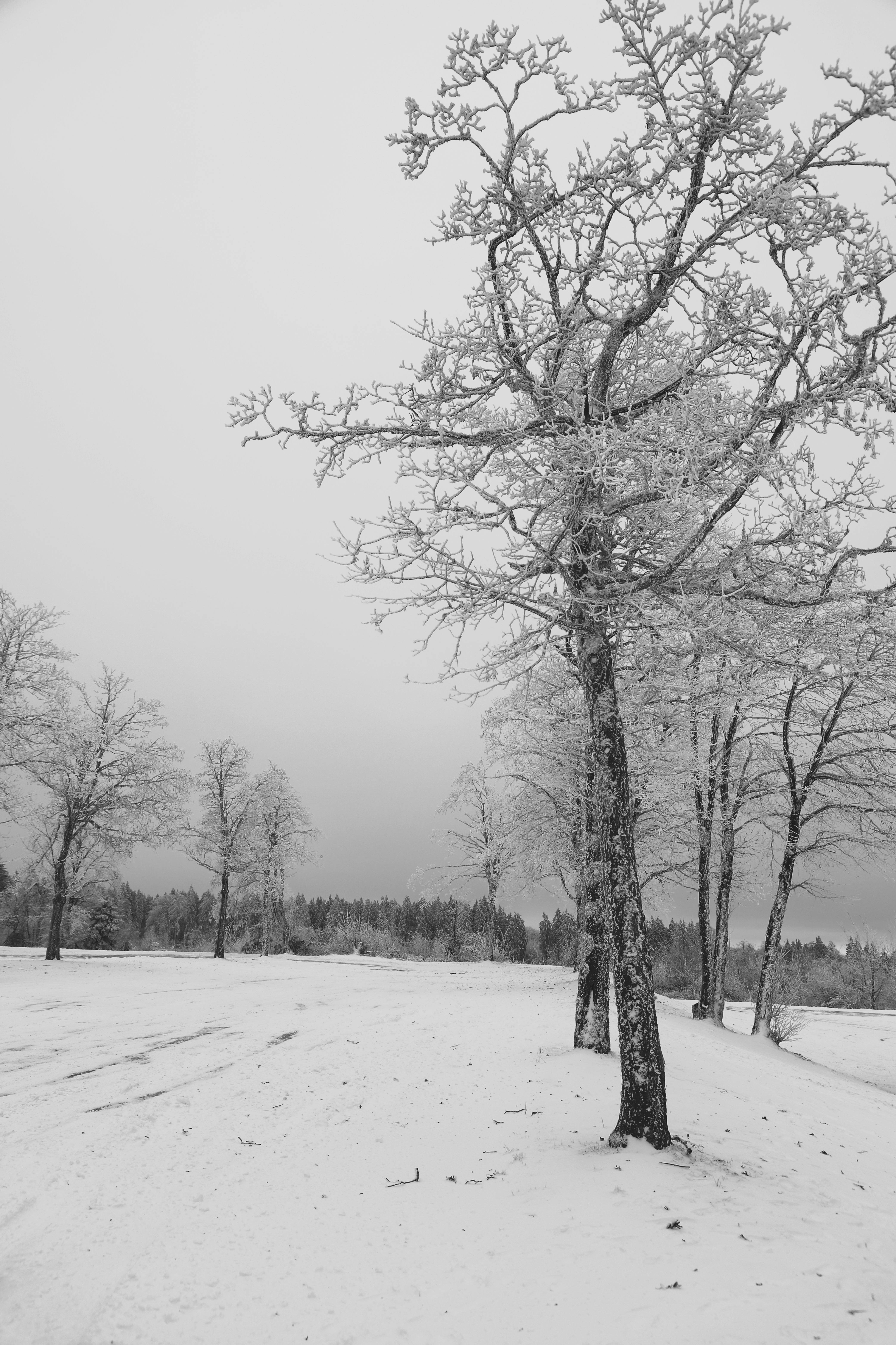 Ingyenes stockfotó befagyott, békés, csendes témában Stockfotó