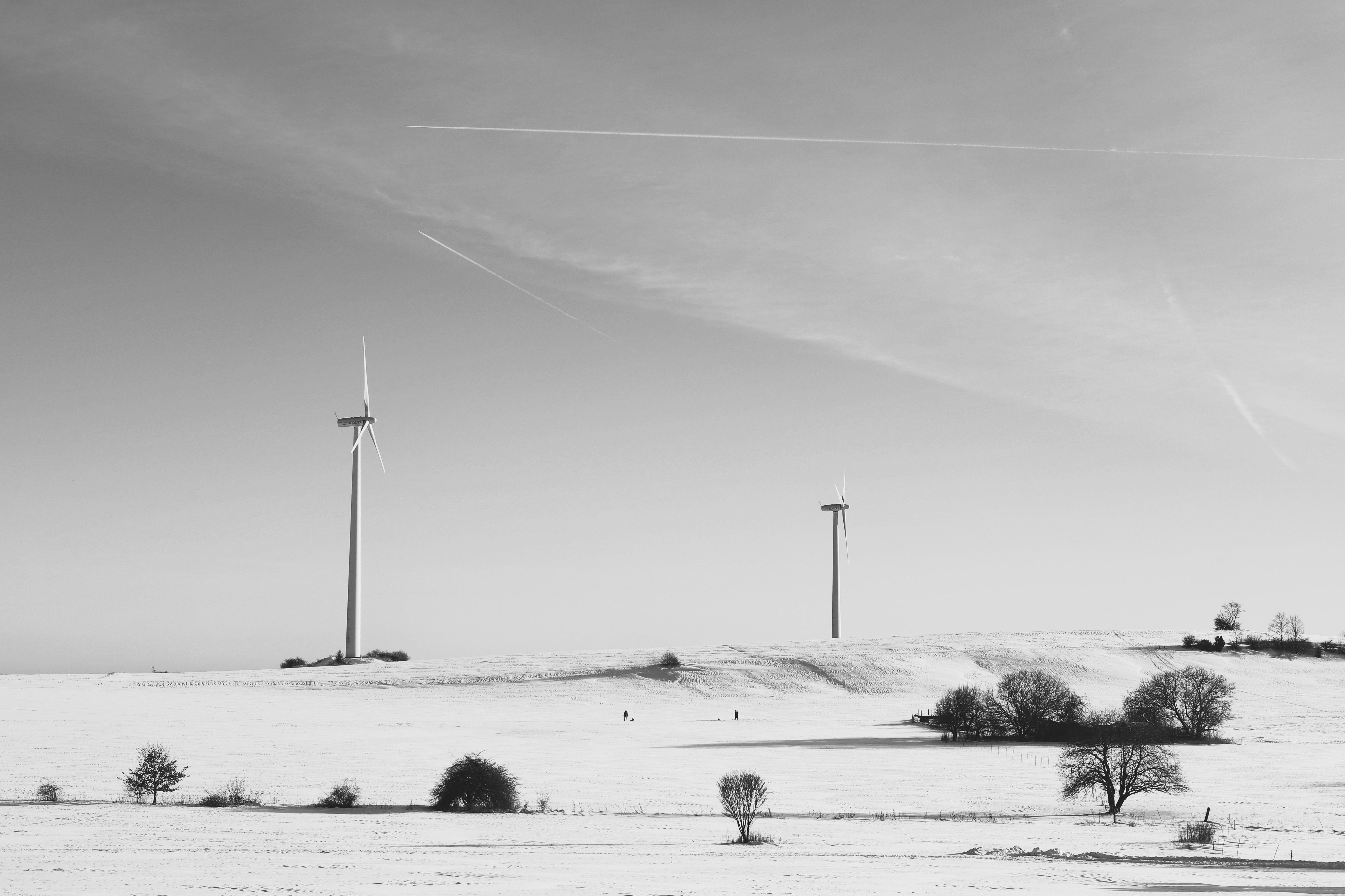 Windräder auf grüner Wiese