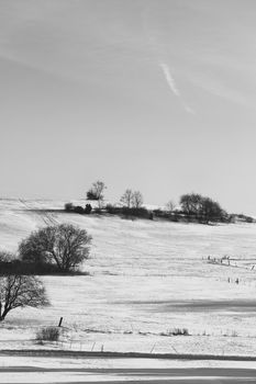 A tranquil winter scene capturing snow-covered fields and bare trees under a bright sky.