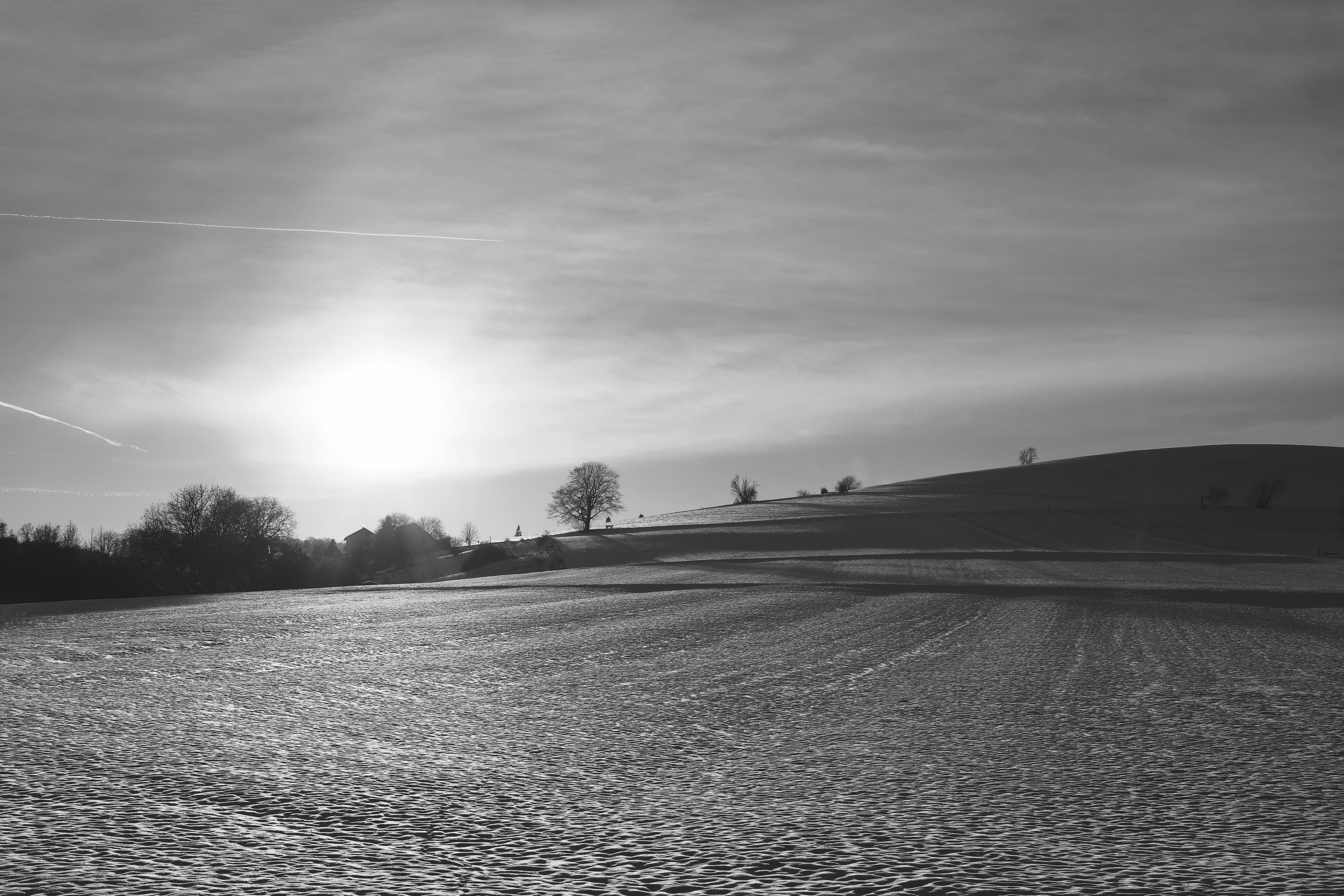 Δωρεάν Ασπρόμαυρο χειμερινό τοπίο με τον ήλιο να ανατέλλει πάνω από το χιονισμένο χωράφι και τα μακρινά δέντρα. Φωτογραφία από στοκ φωτογραφιών