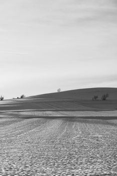 A serene black and white photo of a snowy landscape with distant trees under a cloudy sky.