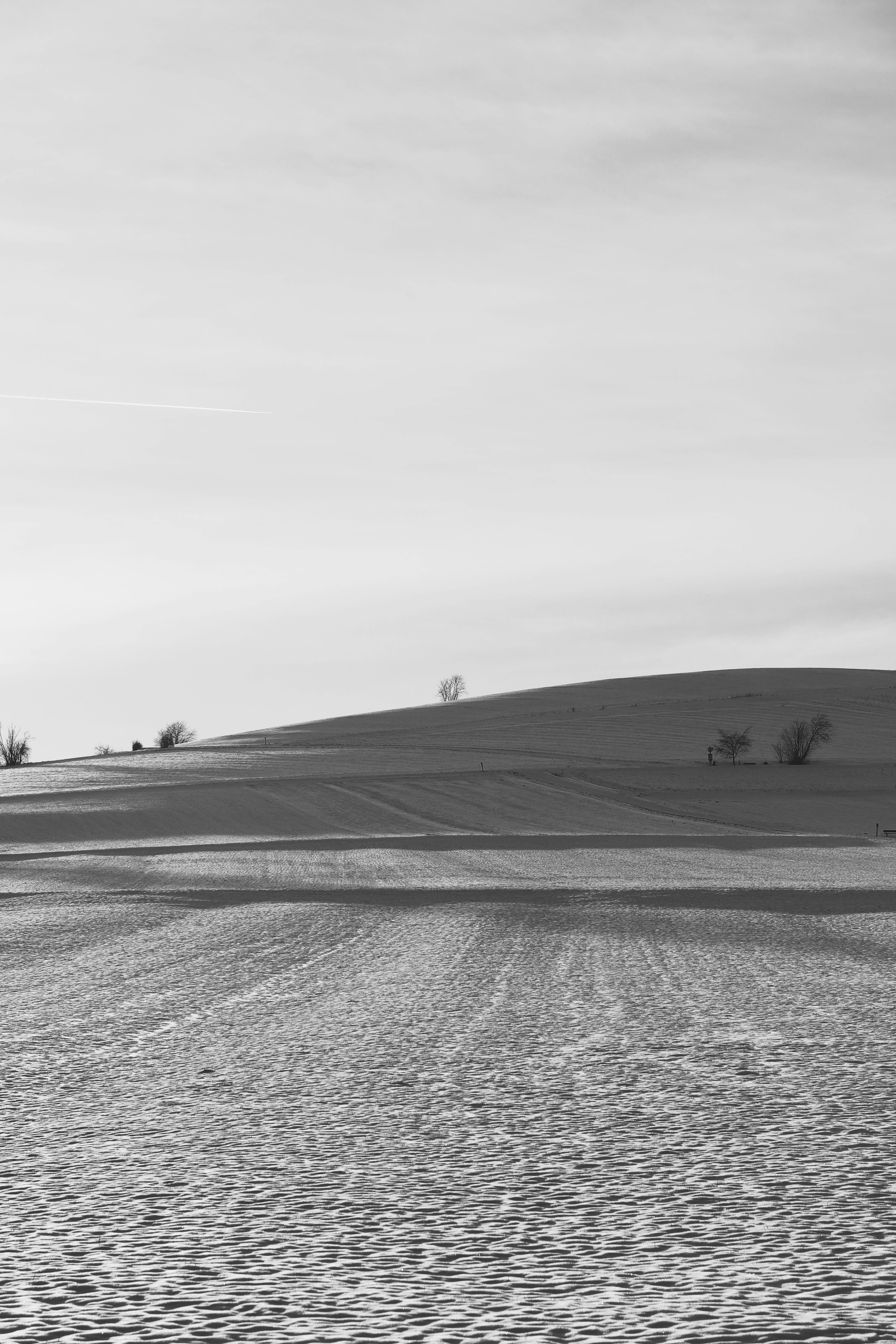 gratis Een serene zwart-witfoto van een besneeuwd landschap met bomen in de verte onder een bewolkte hemel. Stockfoto