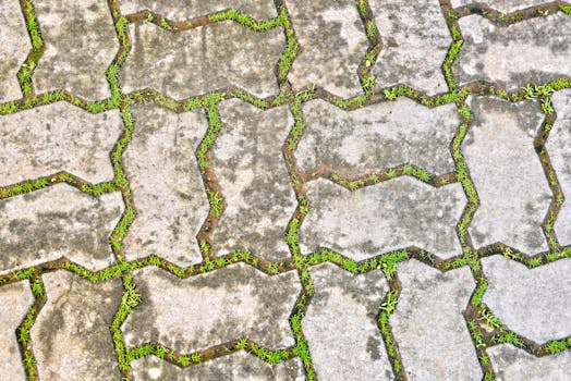 Close-up view of interlocking concrete pavement blocks with grass growing between them, Fès, Morocco.