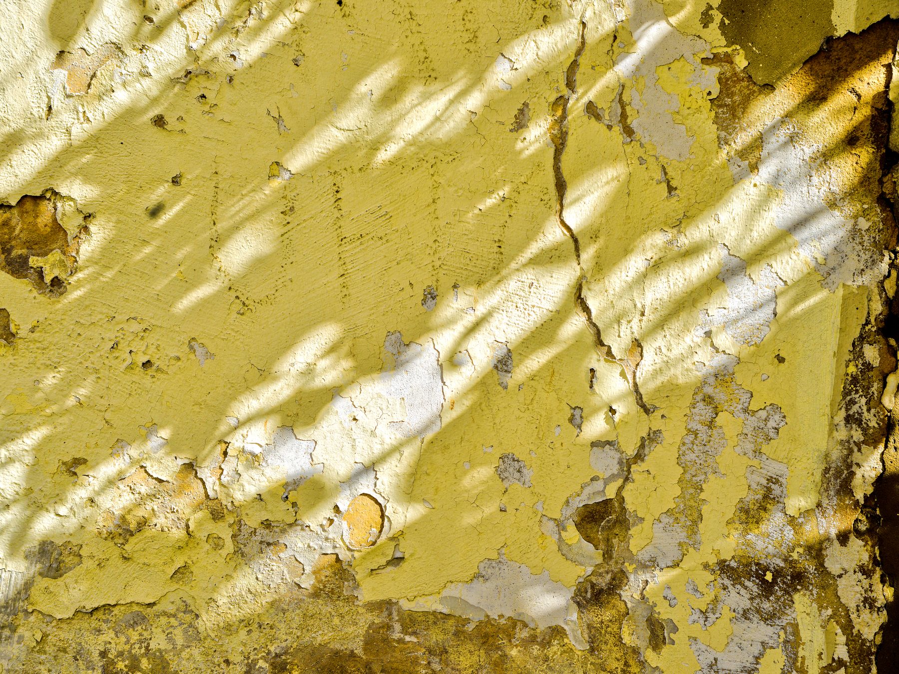 Painters and Decorators in Barnes Cray — clean edges cut in around trim and sockets