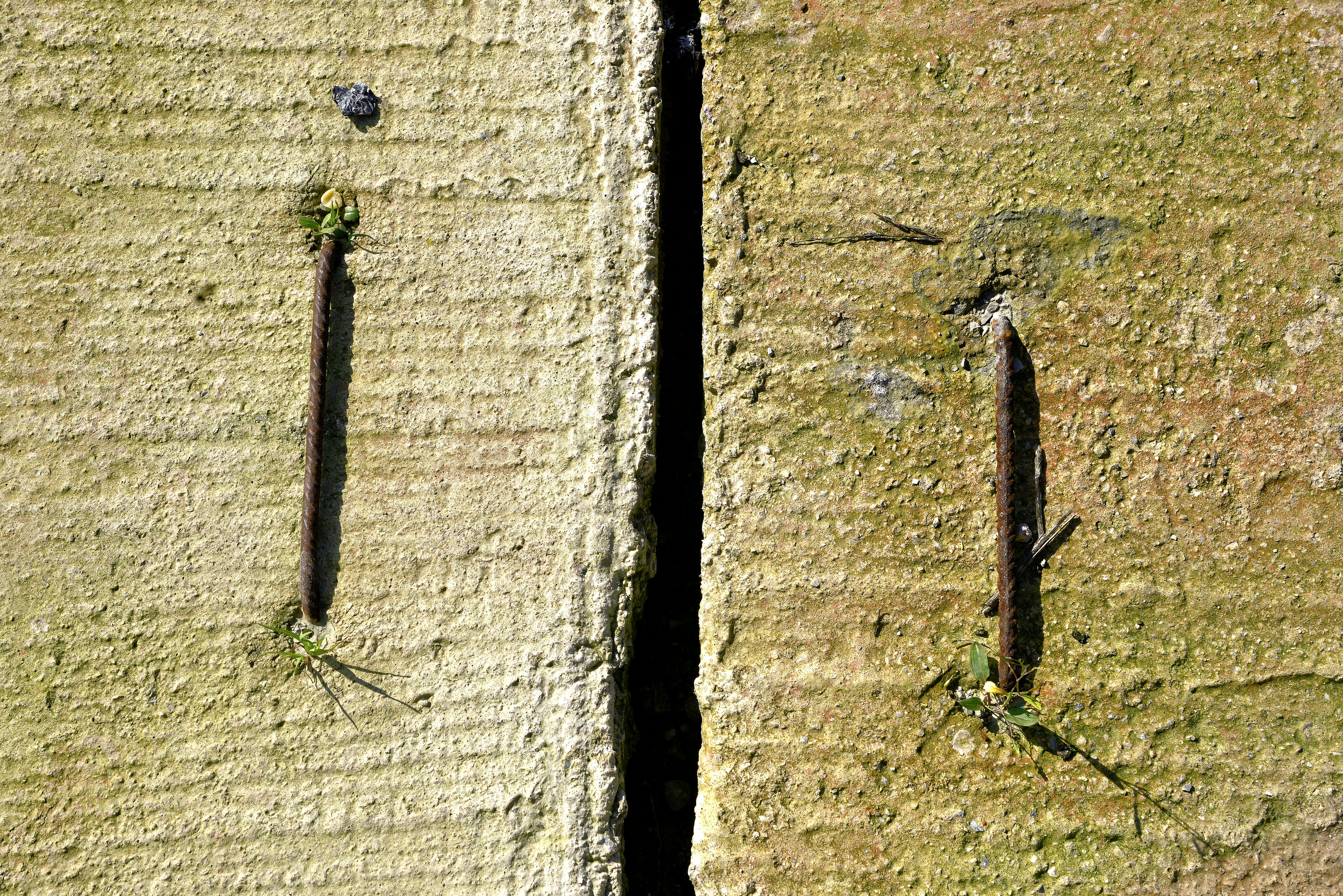 Ingyenes stockfotó @szabadtéri, Afrika, beton témában Stockfotó