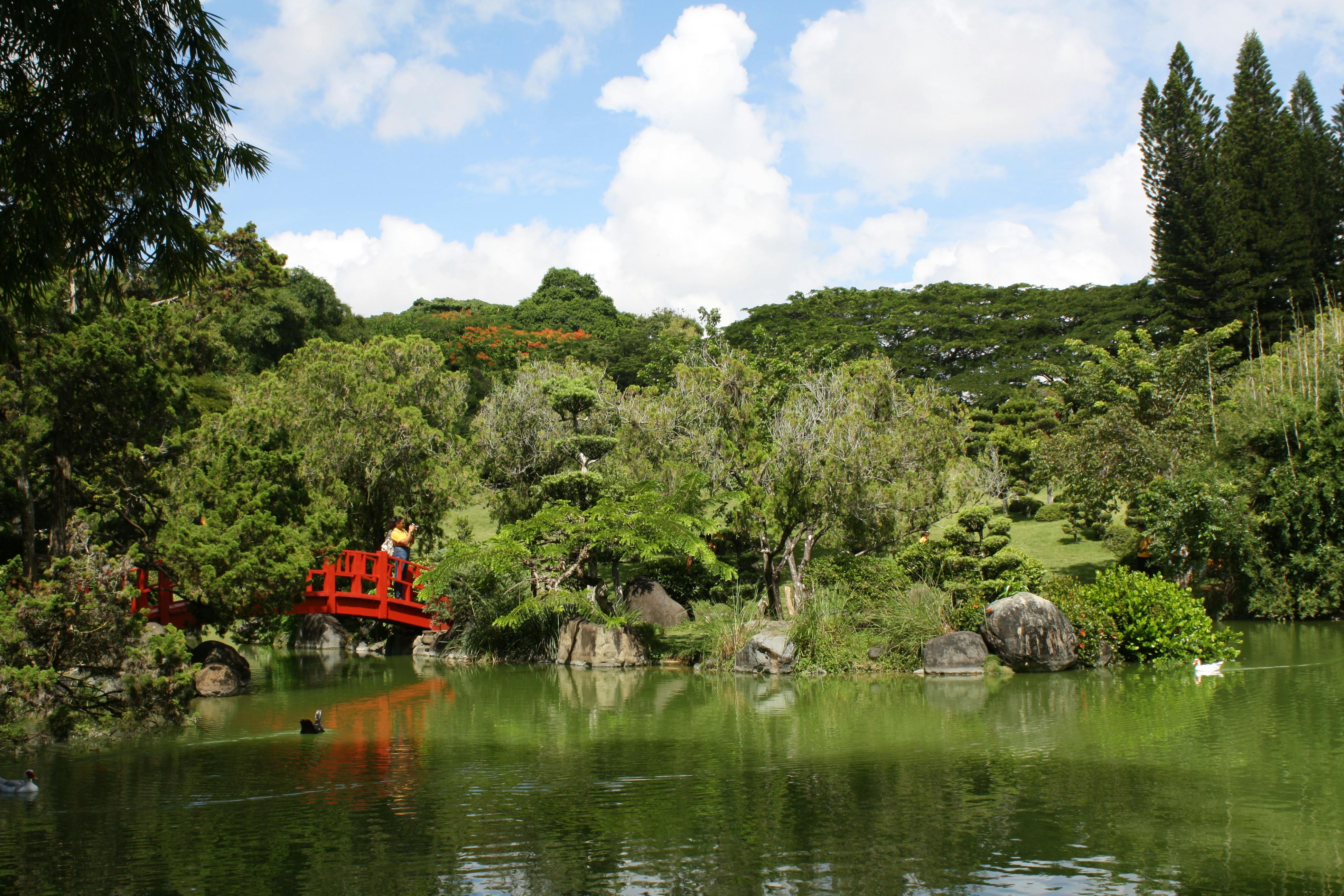 ingyenes Festői kerti kilátás élénkpiros híddal egy békés tó felett, buja növényzettel körülvéve. Stockfotó