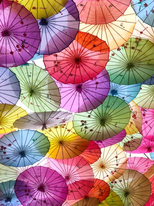 Free A vibrant overhead view of multiple colorful traditional Asian paper umbrellas with floral patterns. Stock Photo