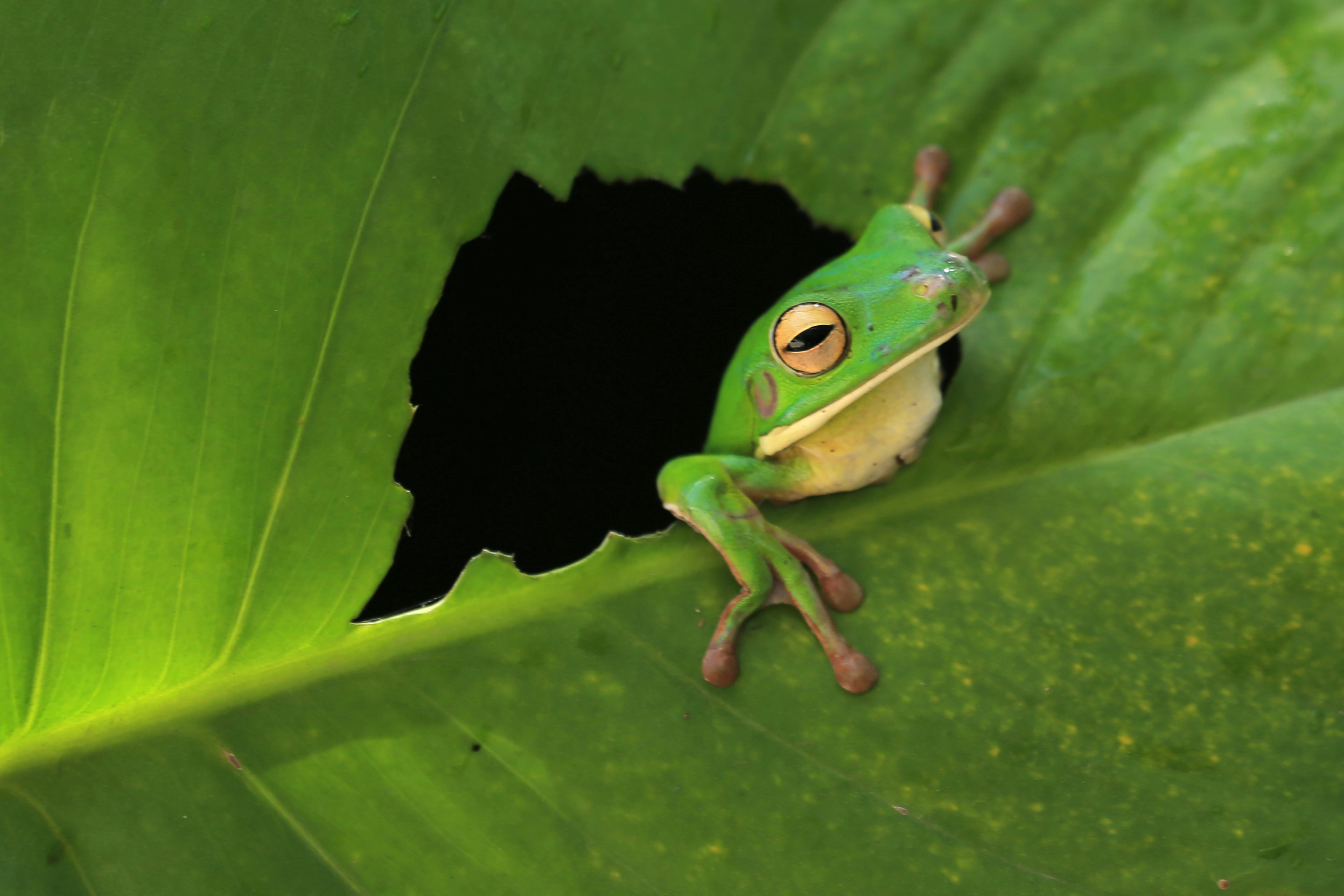 micro niche travel specialty tourism — Photo by Jeffry Surianto on Pexels