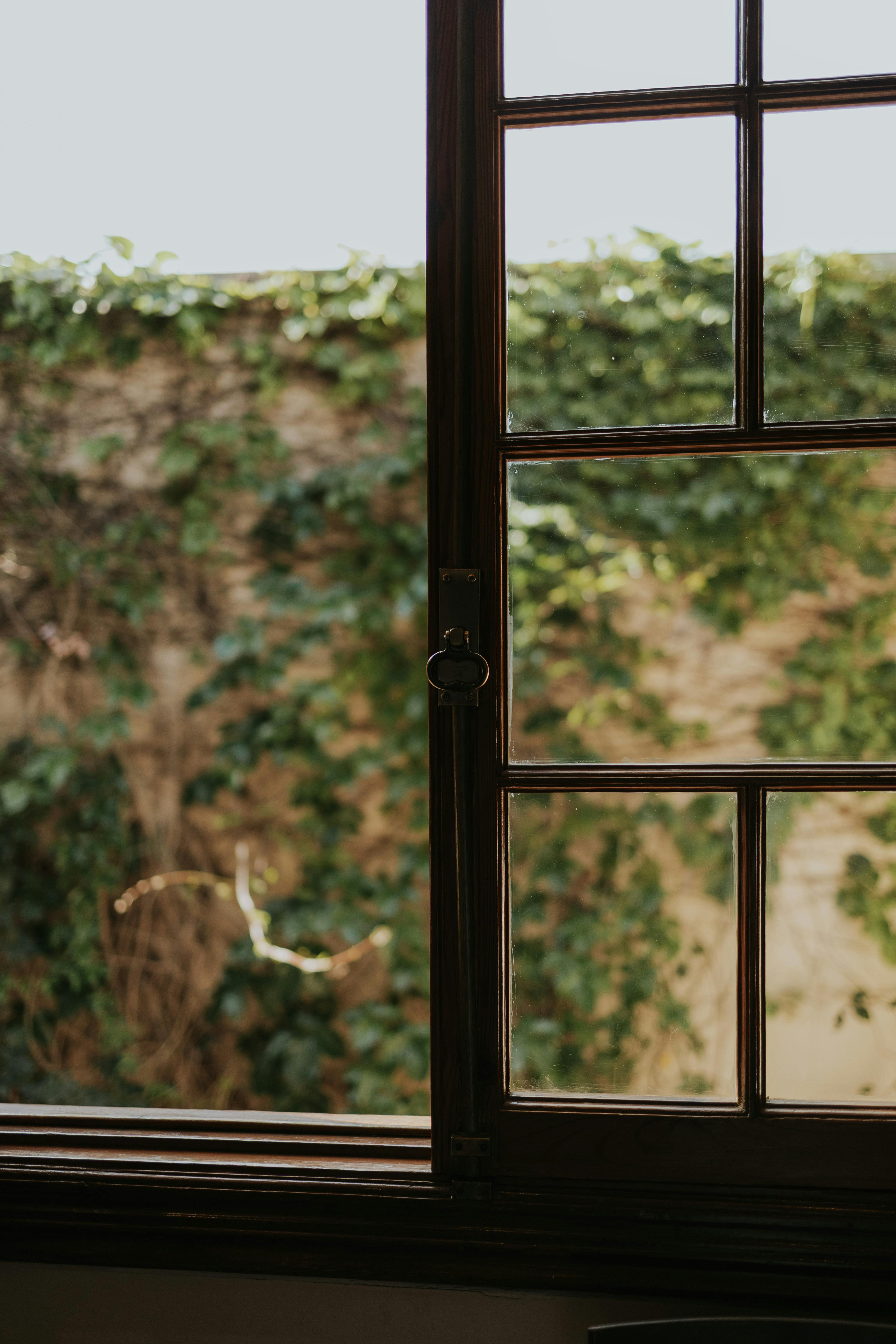 Gratis Una ventana de madera iluminada por el sol con vistas a un muro de jardín cubierto de exuberante vegetación. Foto de stock