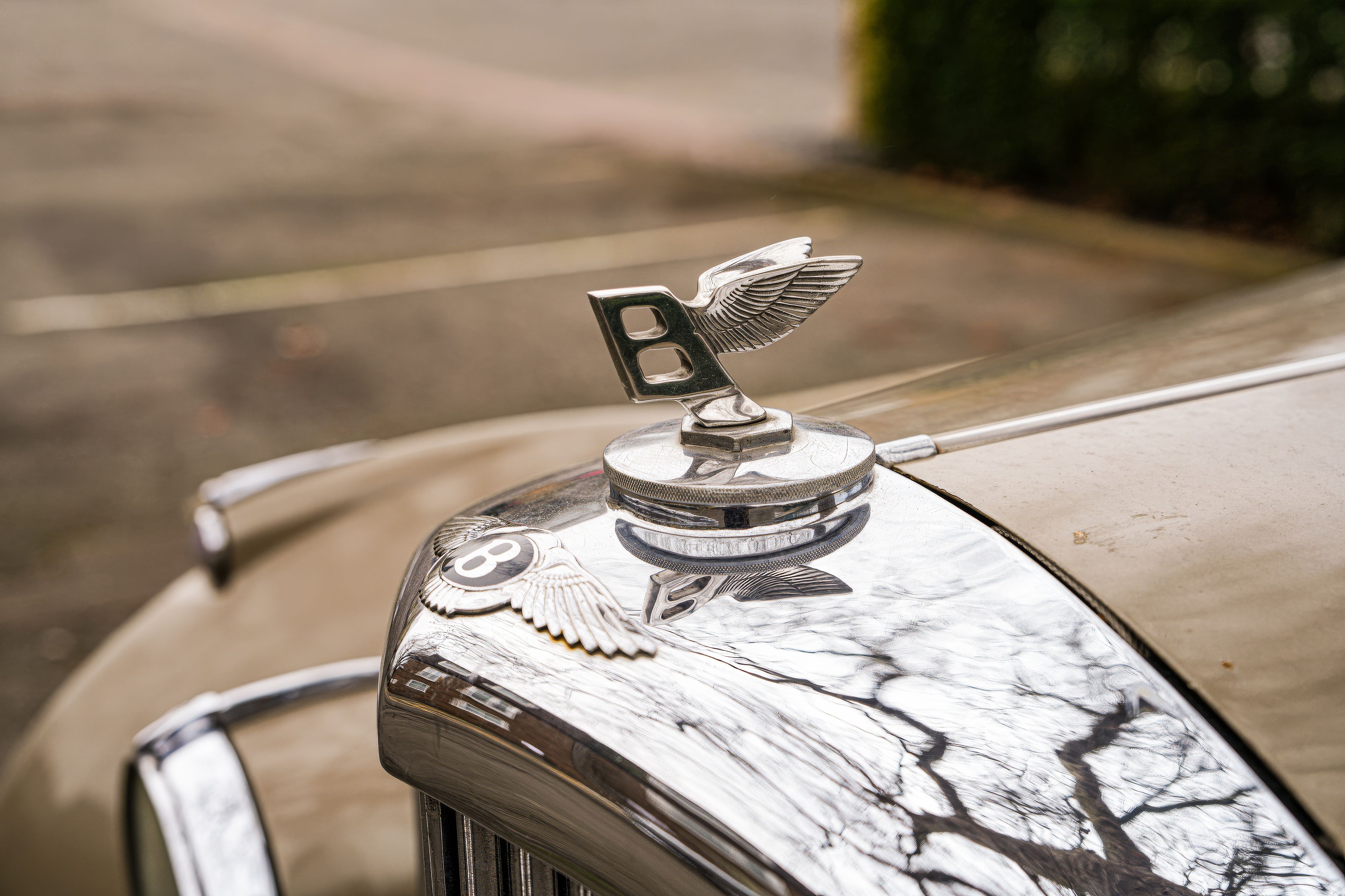 Close-up of a classic car hood ornament featuring a winged badge in an outdoor setting.