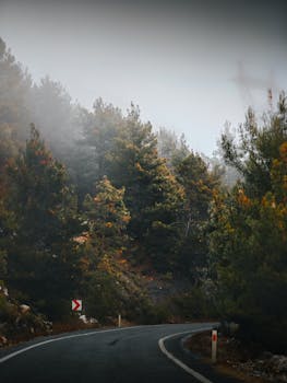 A misty, winding road through a lush forest in Gözüküçüklü, capturing serene winter beauty.