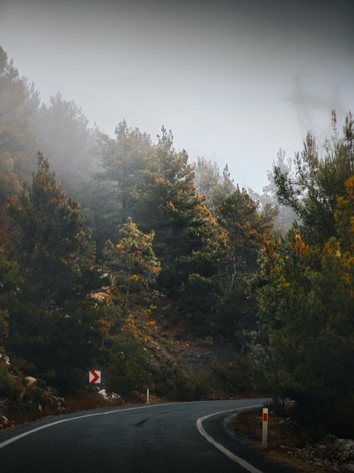 Free A misty, winding road through a lush forest in Gözüküçüklü, capturing serene winter beauty. Stock Photo