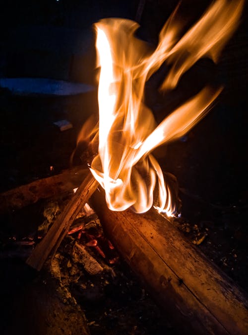 Free Close-up Photography of Burning Wood Stock Photo