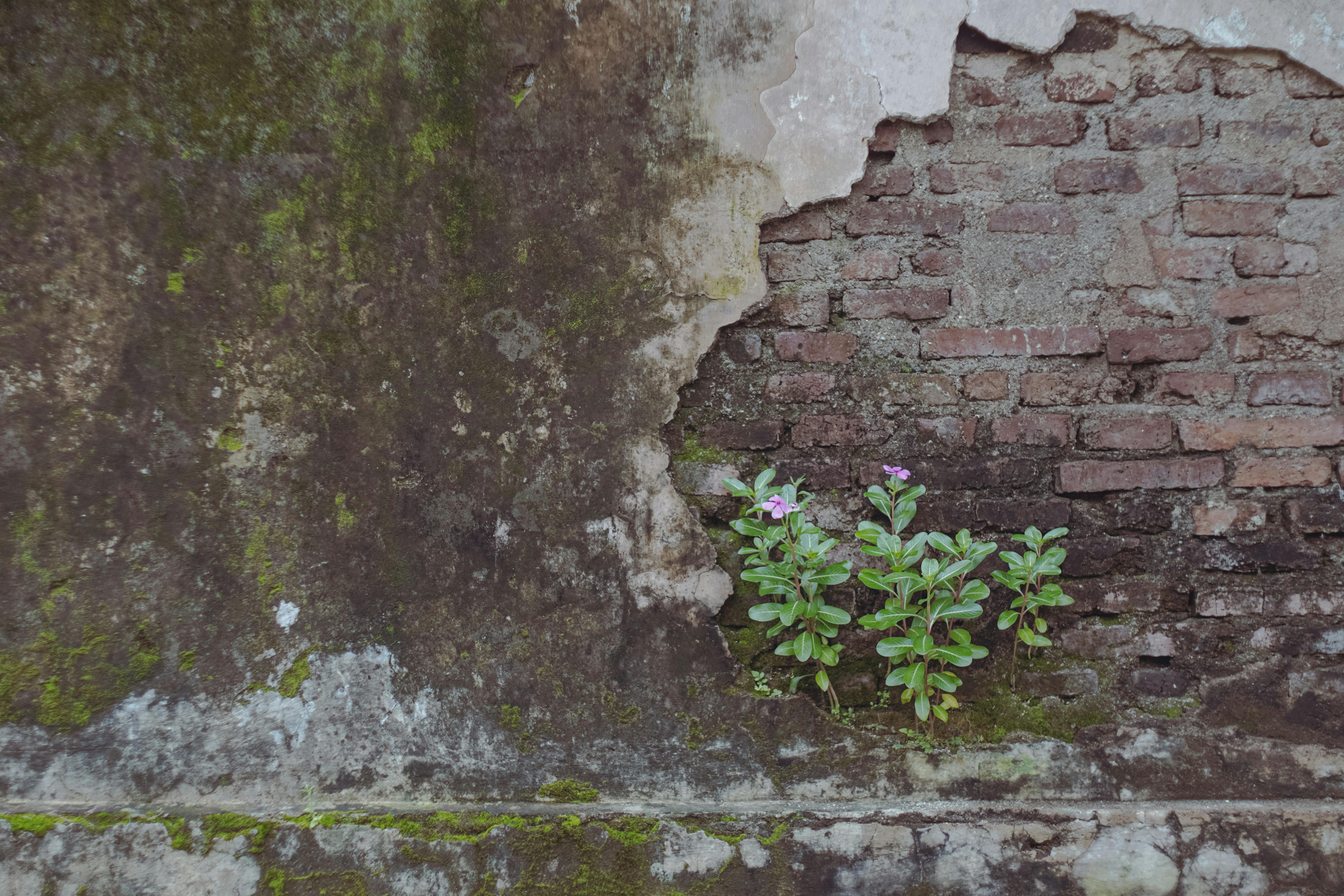 ETH's Resilience: 3 Key Factors Keeping Ether Above $1.8K in 2026 — cryptocurrency and blockchain — inflation — 2026