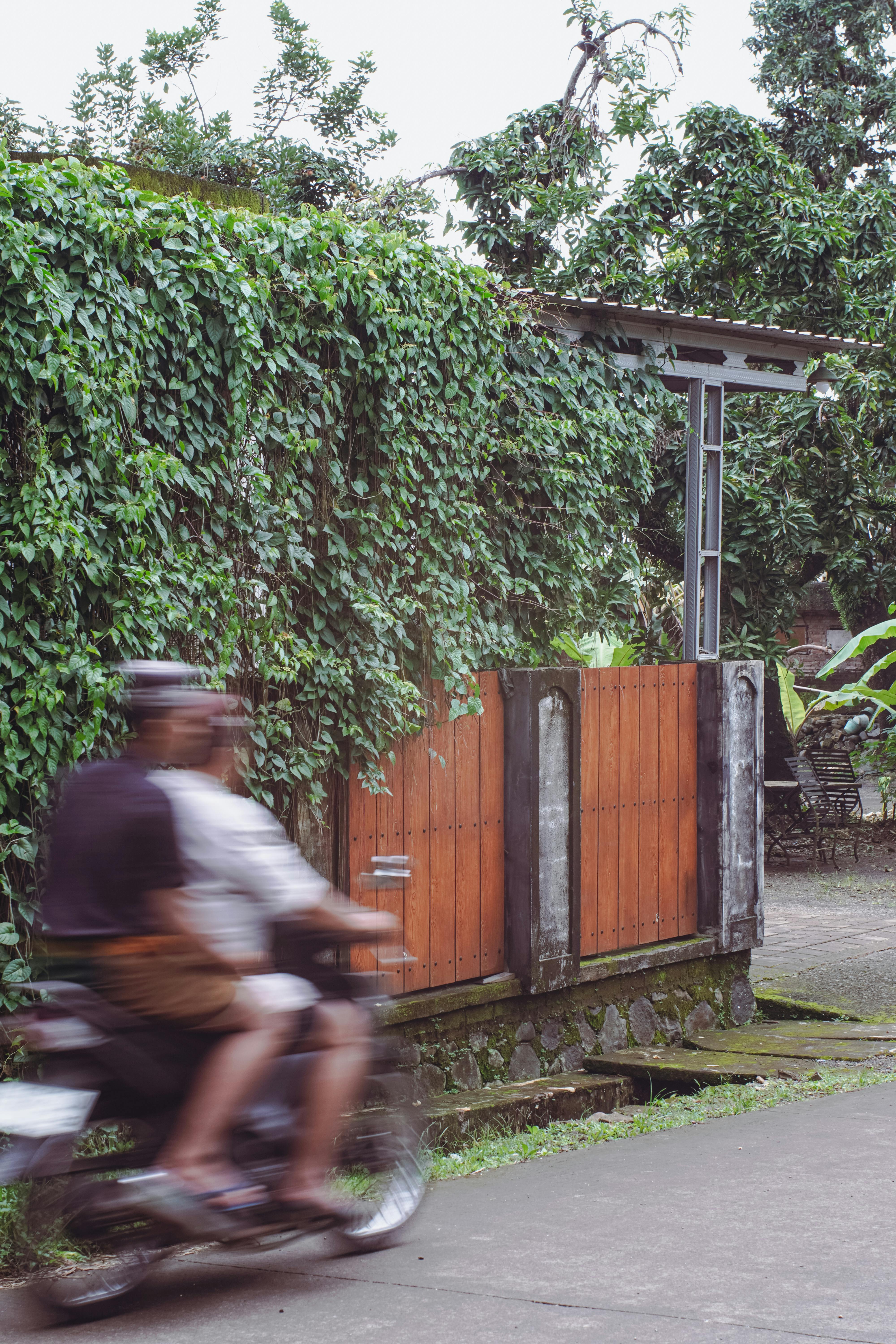 Ilmainen Moottoripyörä ohittaa nopeasti rehevän muratin peittämän aidan ja liikkuu sumentavasti. Kuvapankkikuva