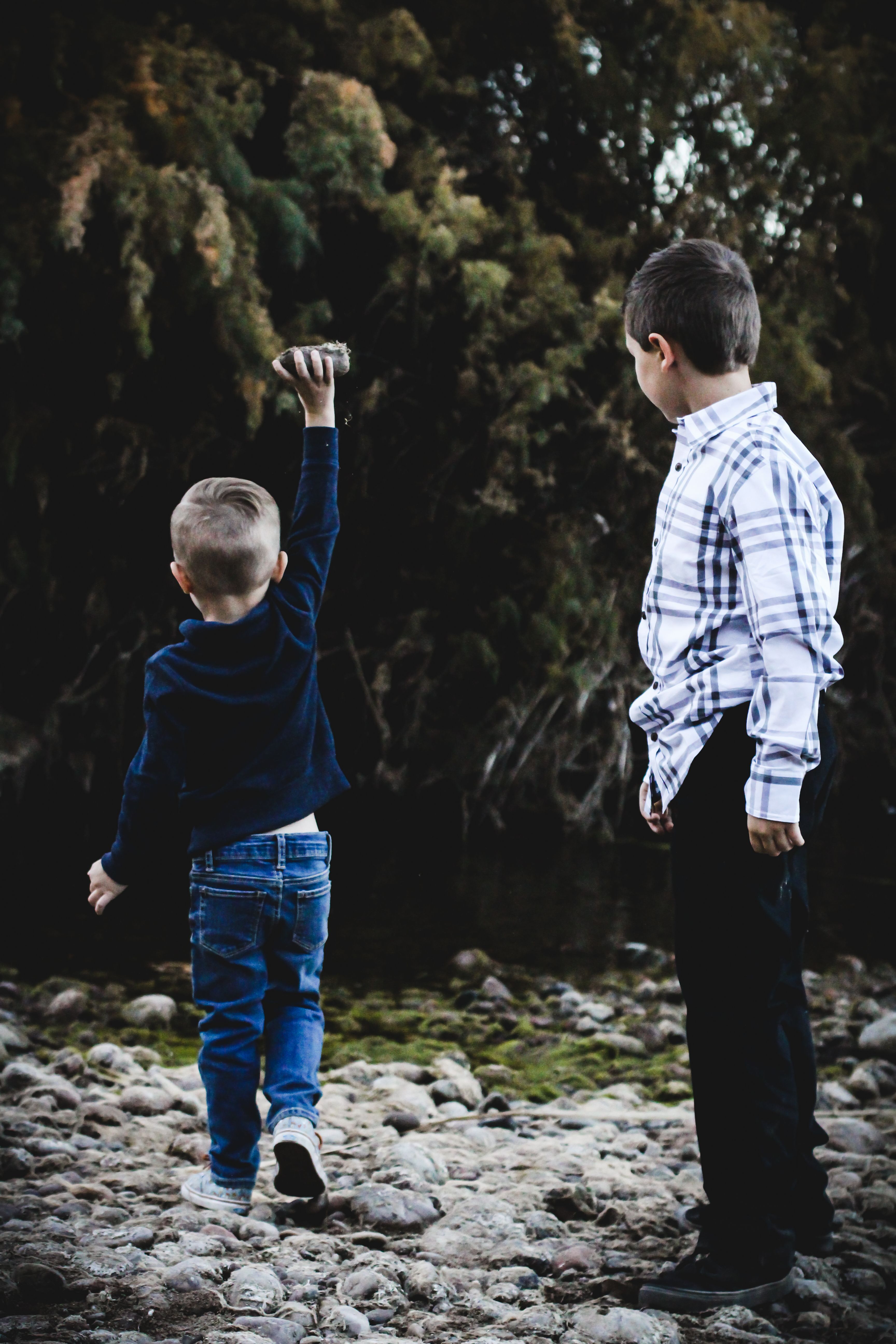 Boys Playing with Rocks · Free Stock Photo