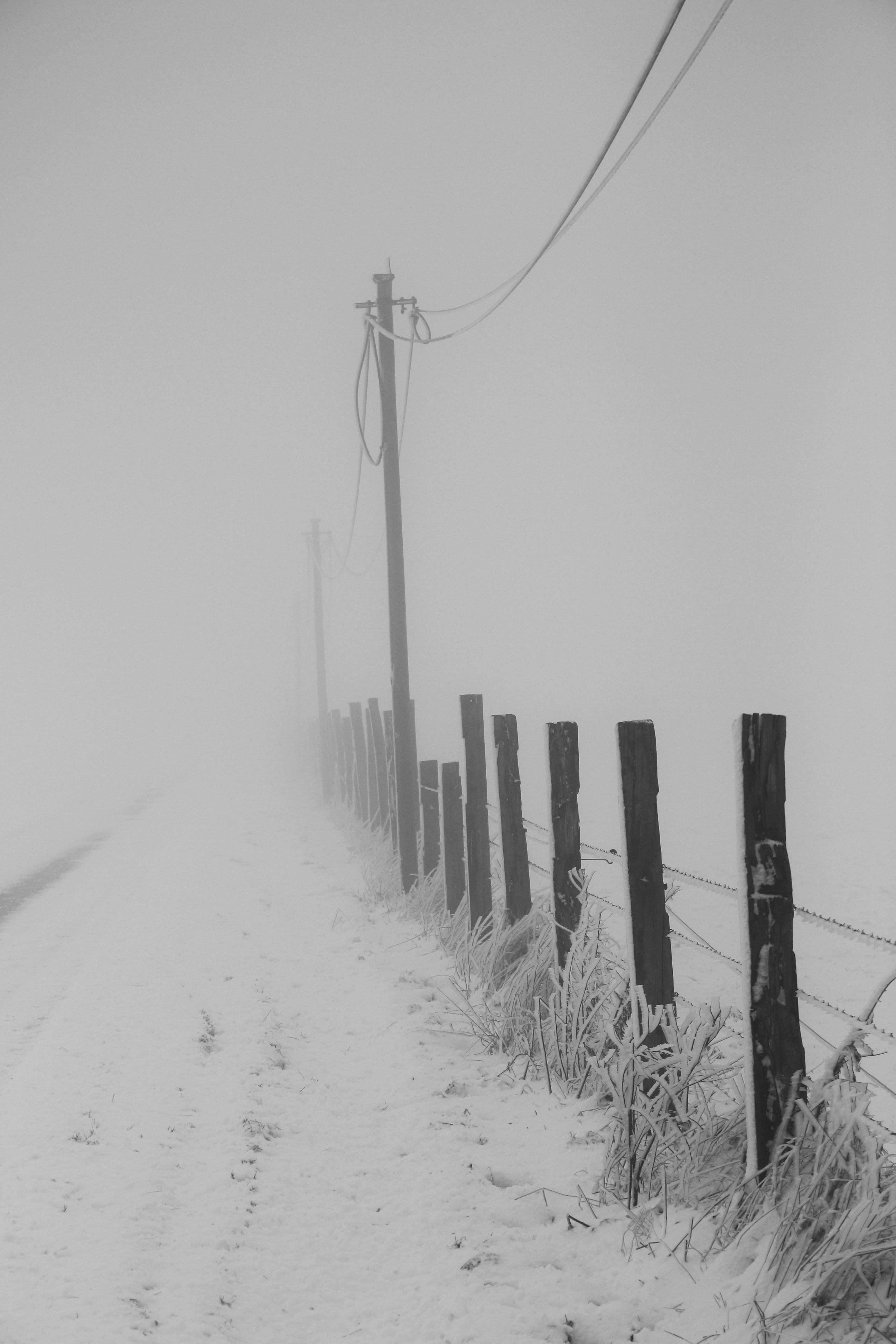 Δωρεάν Ασπρόμαυρη φωτογραφία ενός χιονισμένου μονοπατιού επενδεδυμένου με πασσάλους φράχτη και ηλεκτροφόρα καλώδια σε ένα ομιχλώδες χειμωνιάτικο περιβάλλον. Φωτογραφία από στοκ φωτογραφιών
