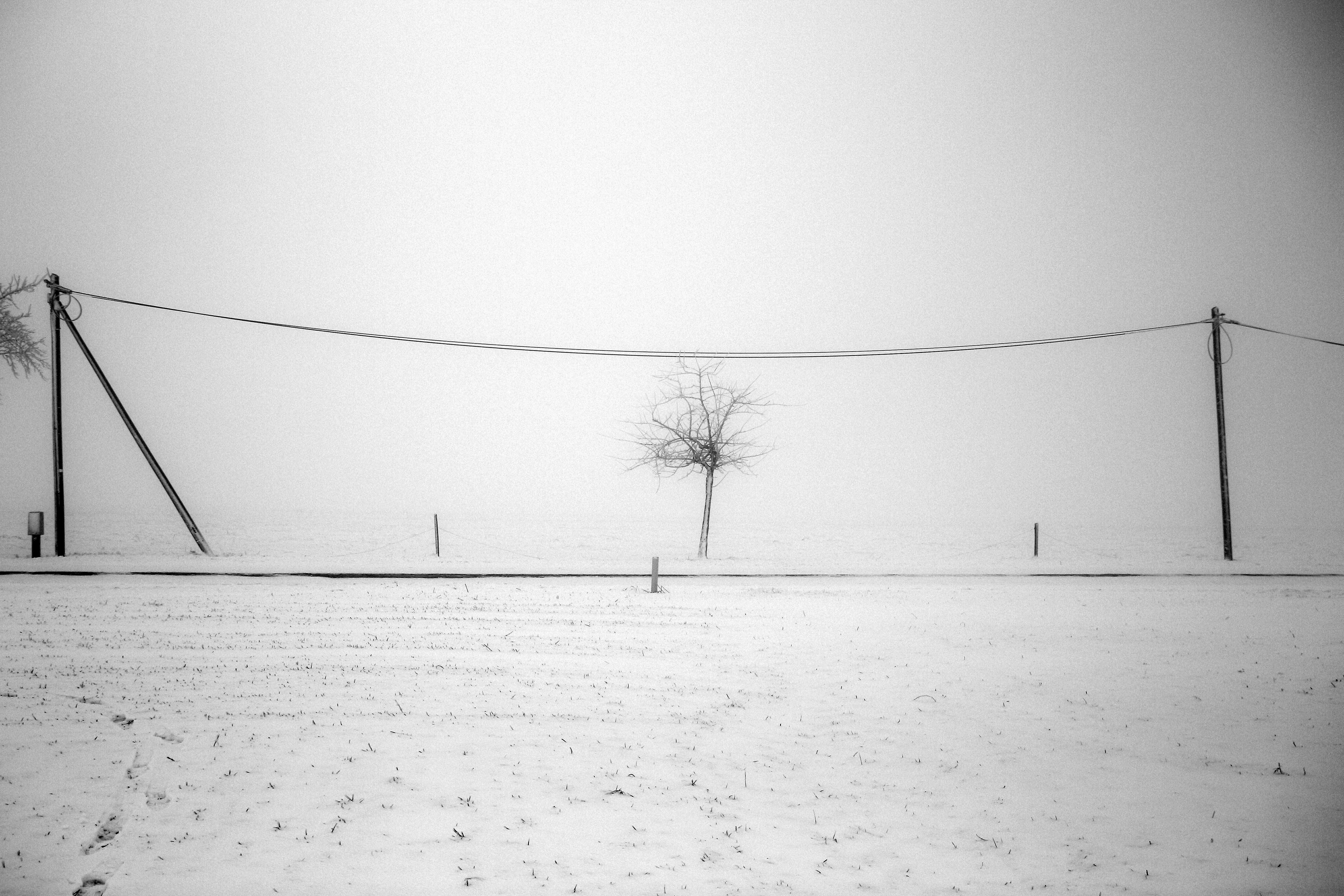 Gratuit Fotografie alb-negru a unui câmp înzăpezit cu un copac singuratic și linii electrice, transmițând singurătate și simplitate. Fotografie de stoc