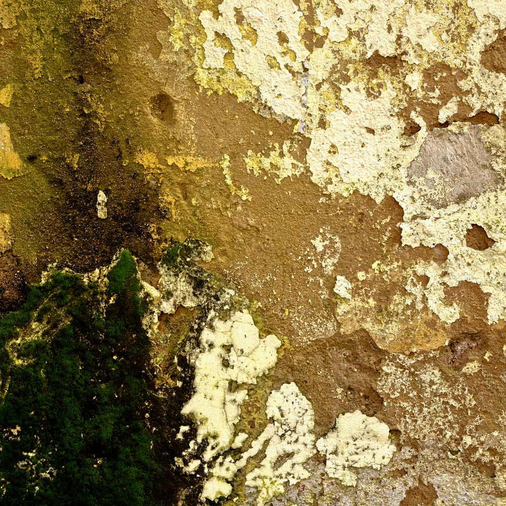 Plastering and Skimming in Cranham — dust sheets down and the room fully protected
