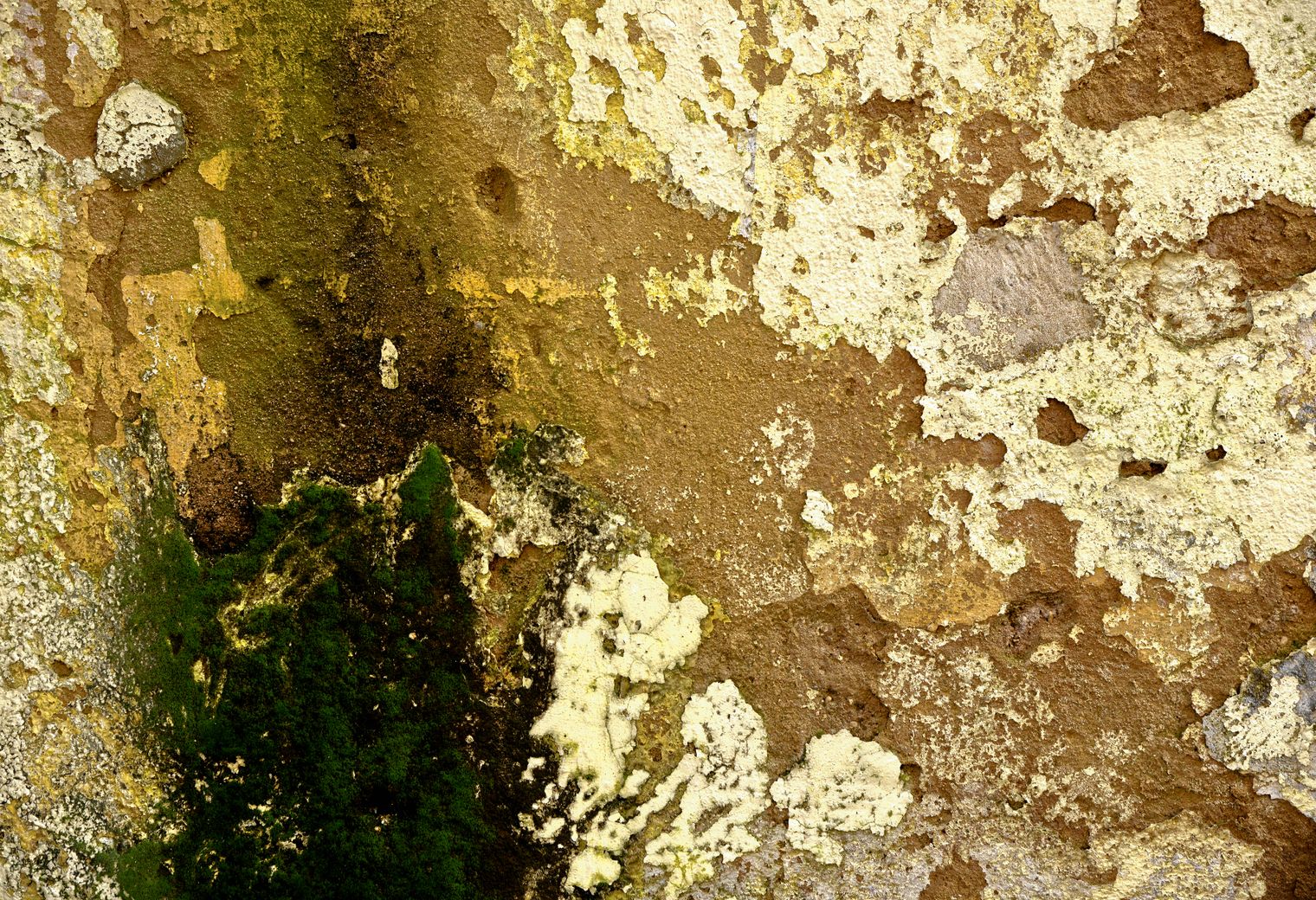Plastering and Skimming in Ealing — dust sheets down and the room fully protected