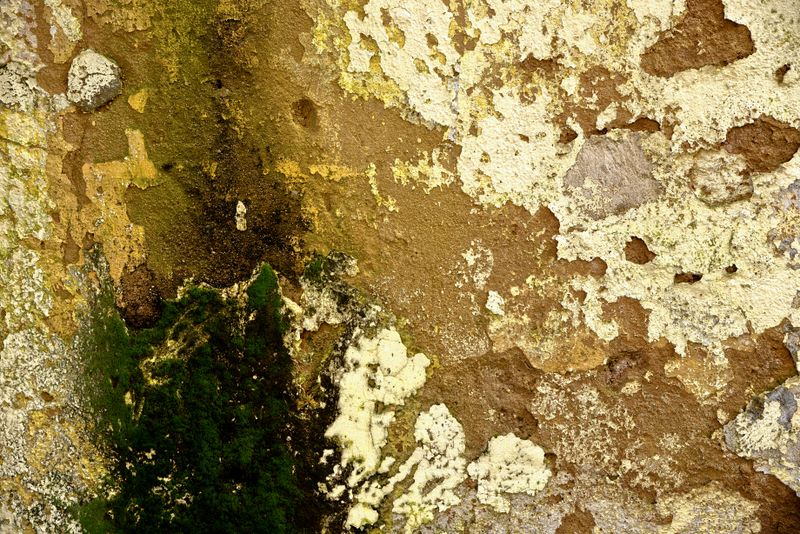 Mur de pierre ancien avec texture de mousse et d'humidité