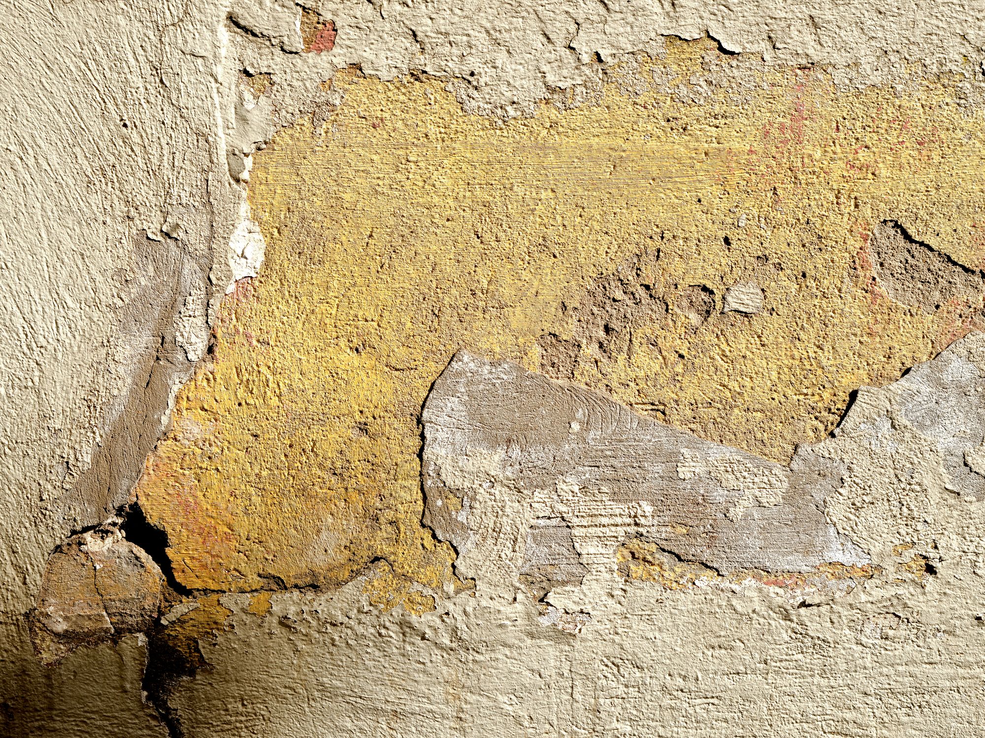 Interior Painting in West Green, Haringey — decorator applying interior paint to walls and ceilings