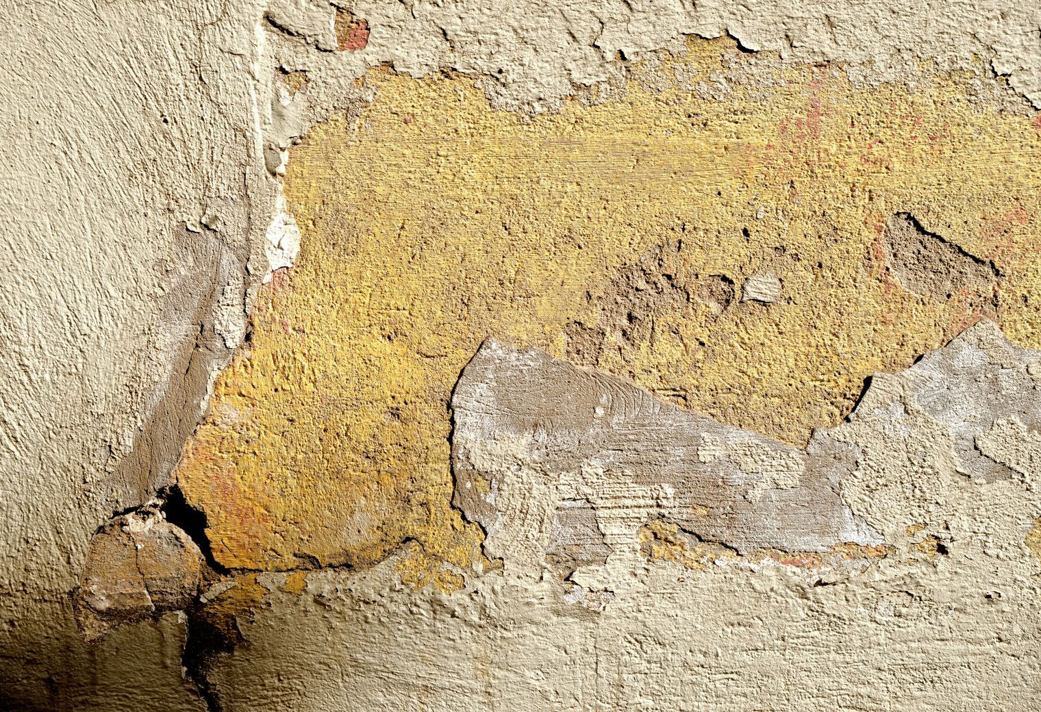 Masonry and Render Painting in Sutton — woodwork brushed to a crisp, smooth line