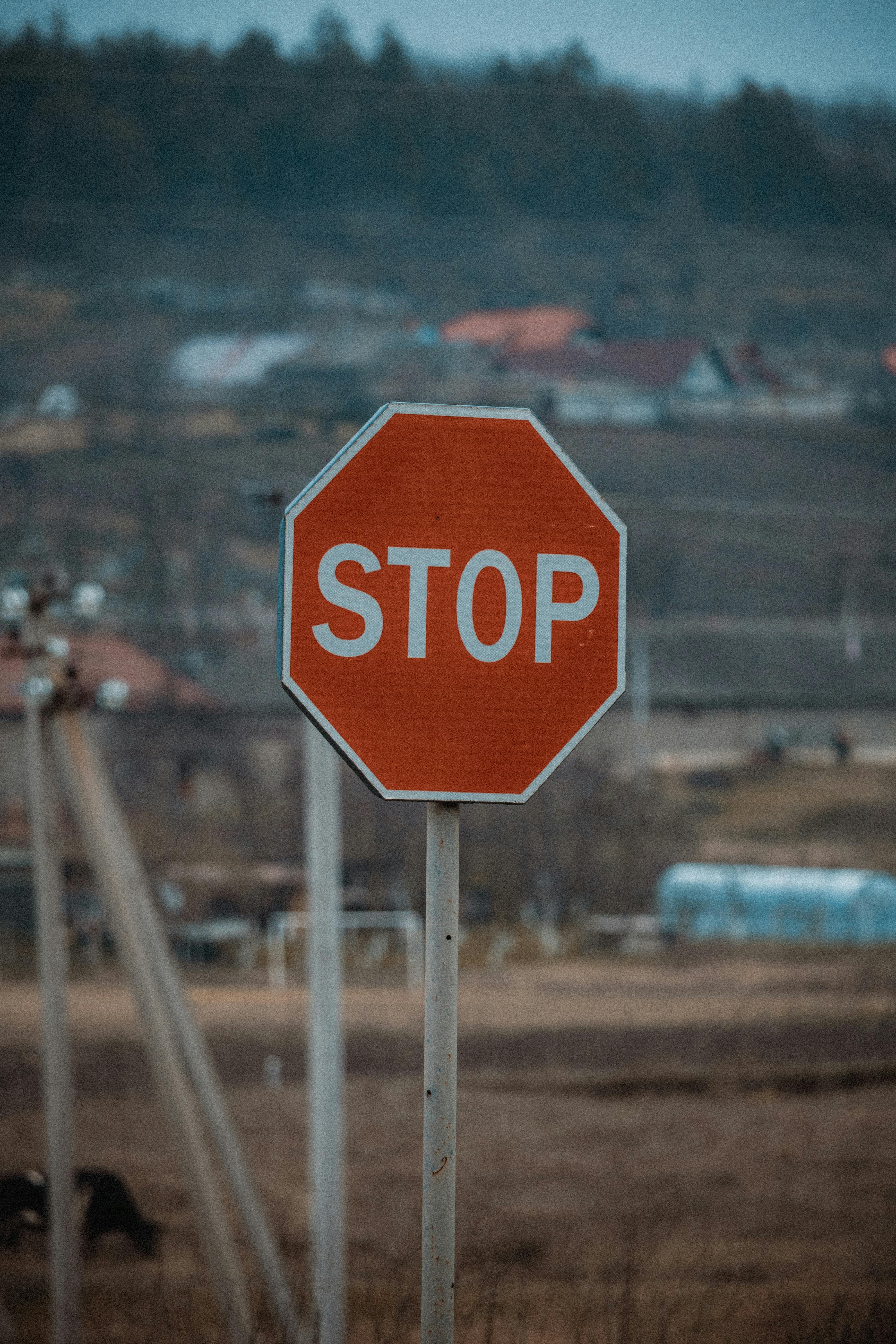 Miễn phí Một biển báo dừng màu đỏ nổi bật giữa khung cảnh nông thôn dưới bầu trời u ám. Ảnh lưu trữ