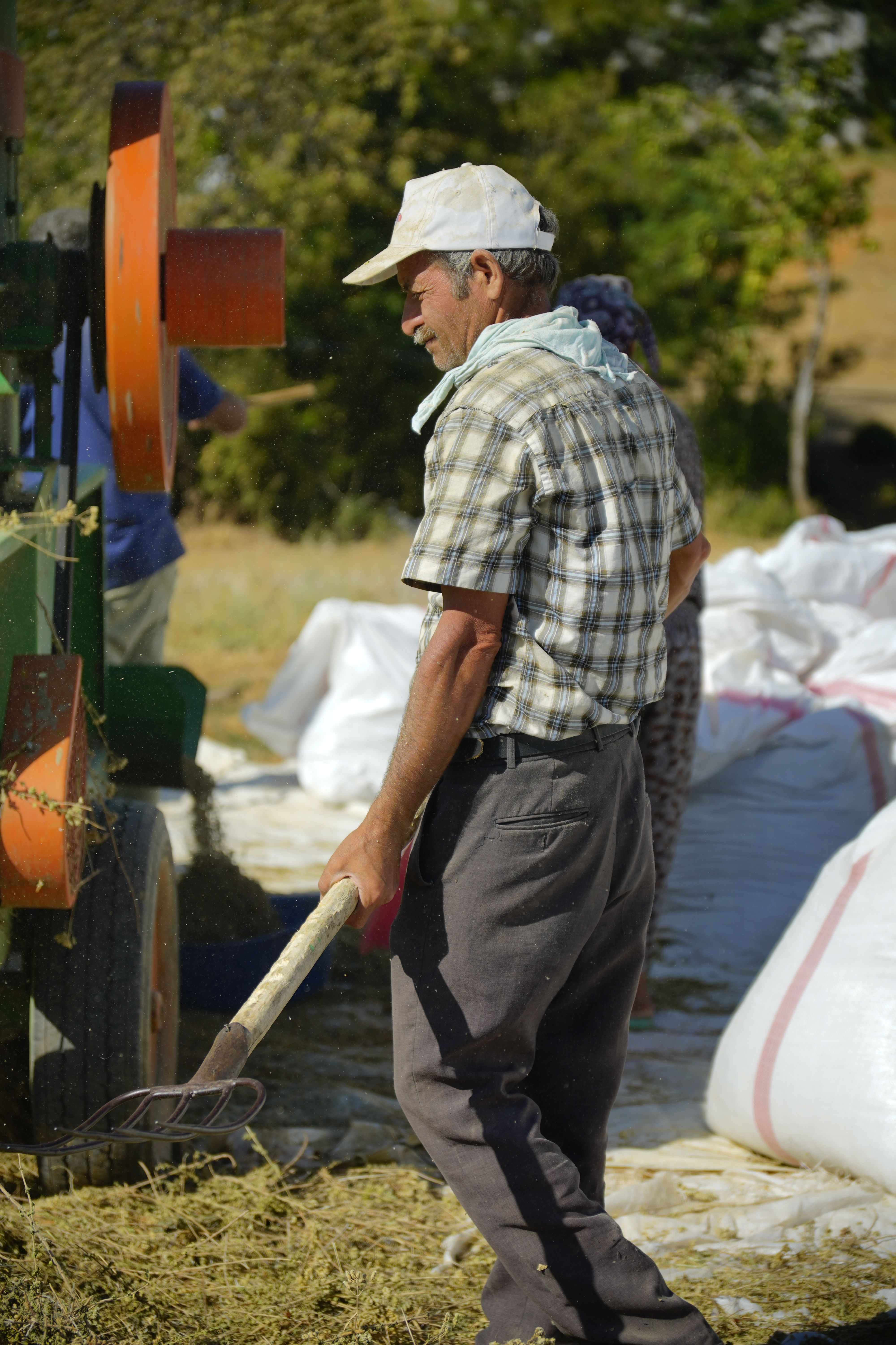 A farmer works outdoors in Türkiye during a sunny summer day using agricultural machinery.