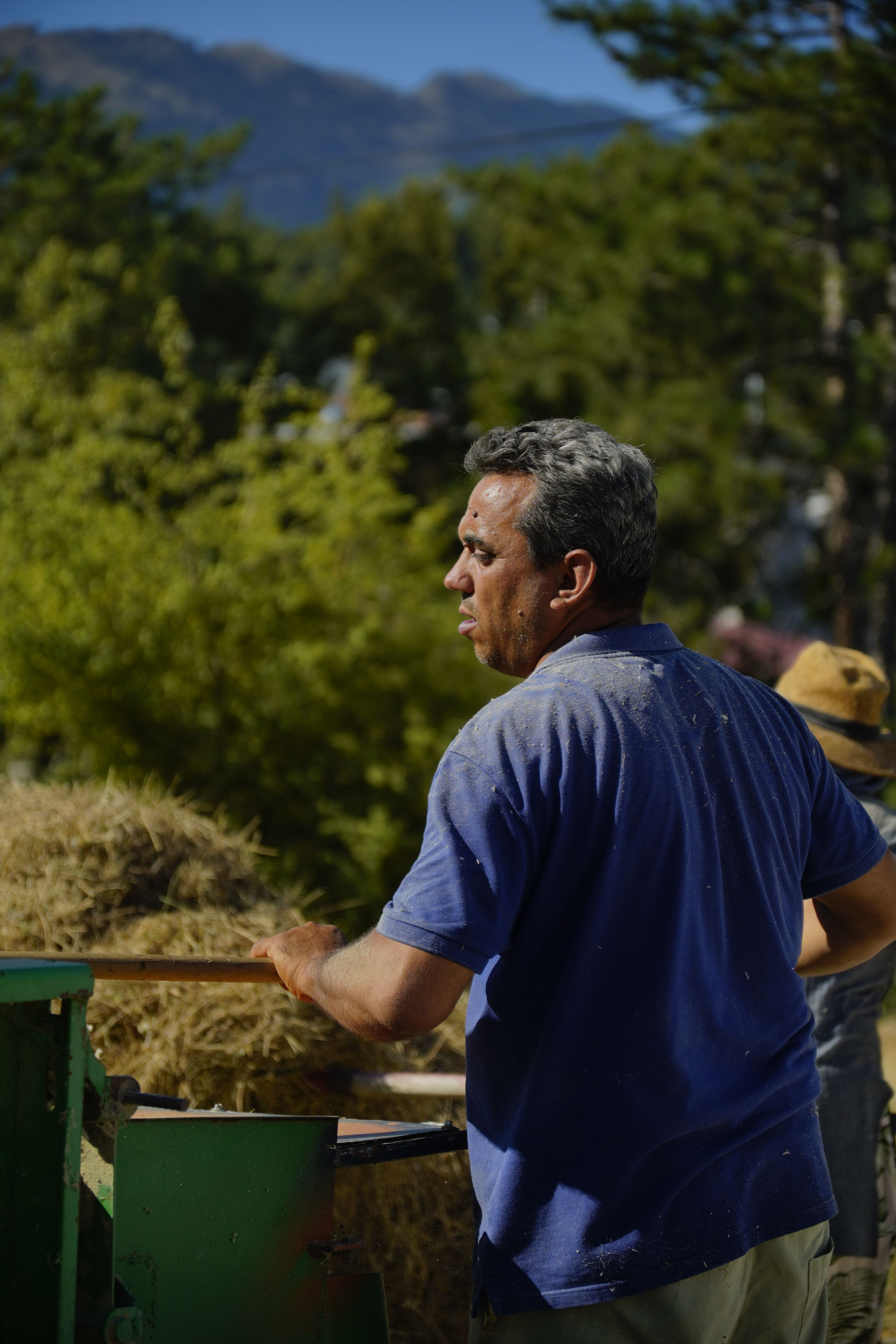 A farmer processes hay outdoors in Türkiye, showcasing agricultural life amidst lush greenery and mountains.