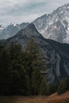 Tranquil mountain scene with lush forest and dramatic peaks under cloudy sky.