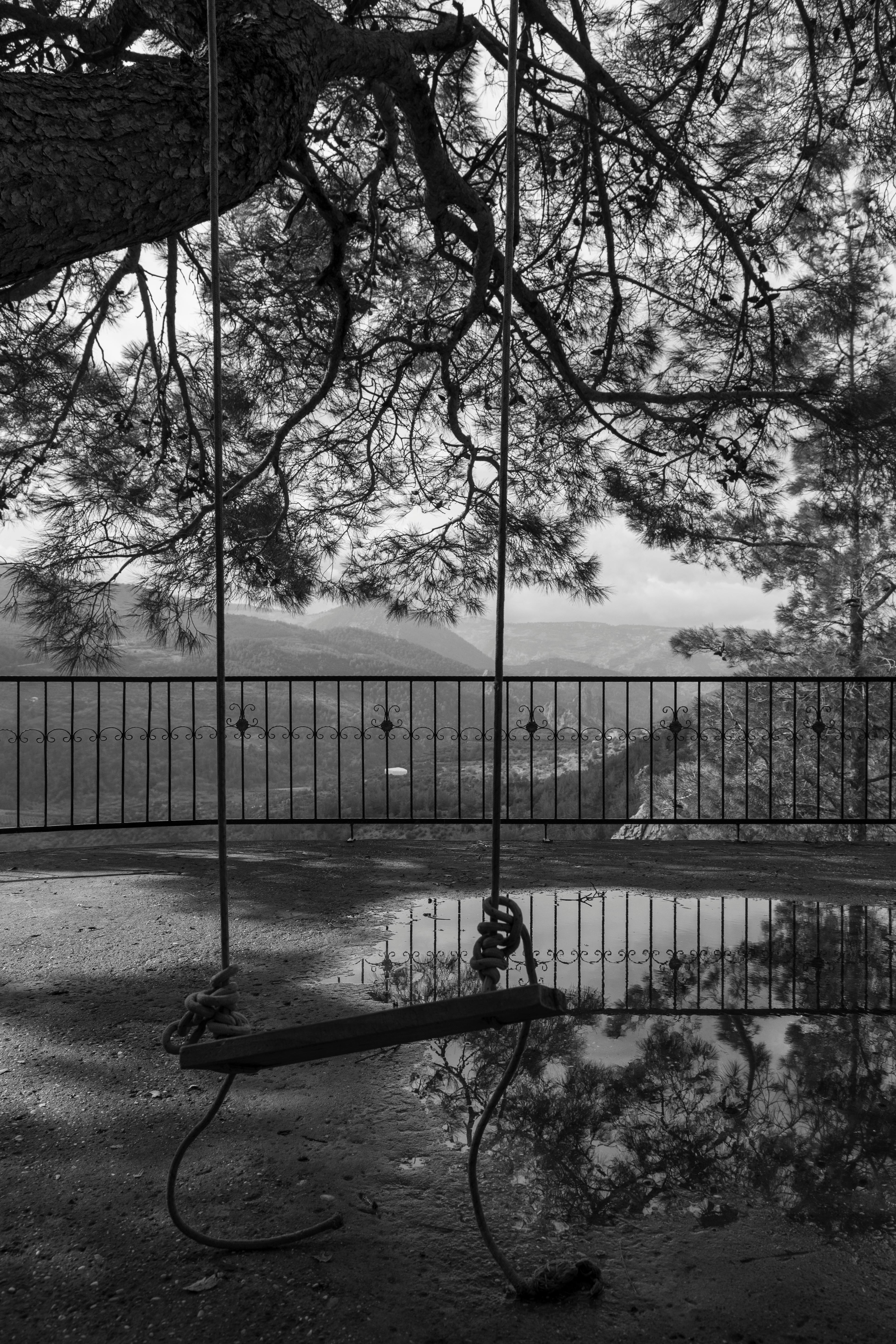 Ücretsiz ağaç, doğa, landscape içeren Ücretsiz stok fotoğraf Stok Fotoğraflar