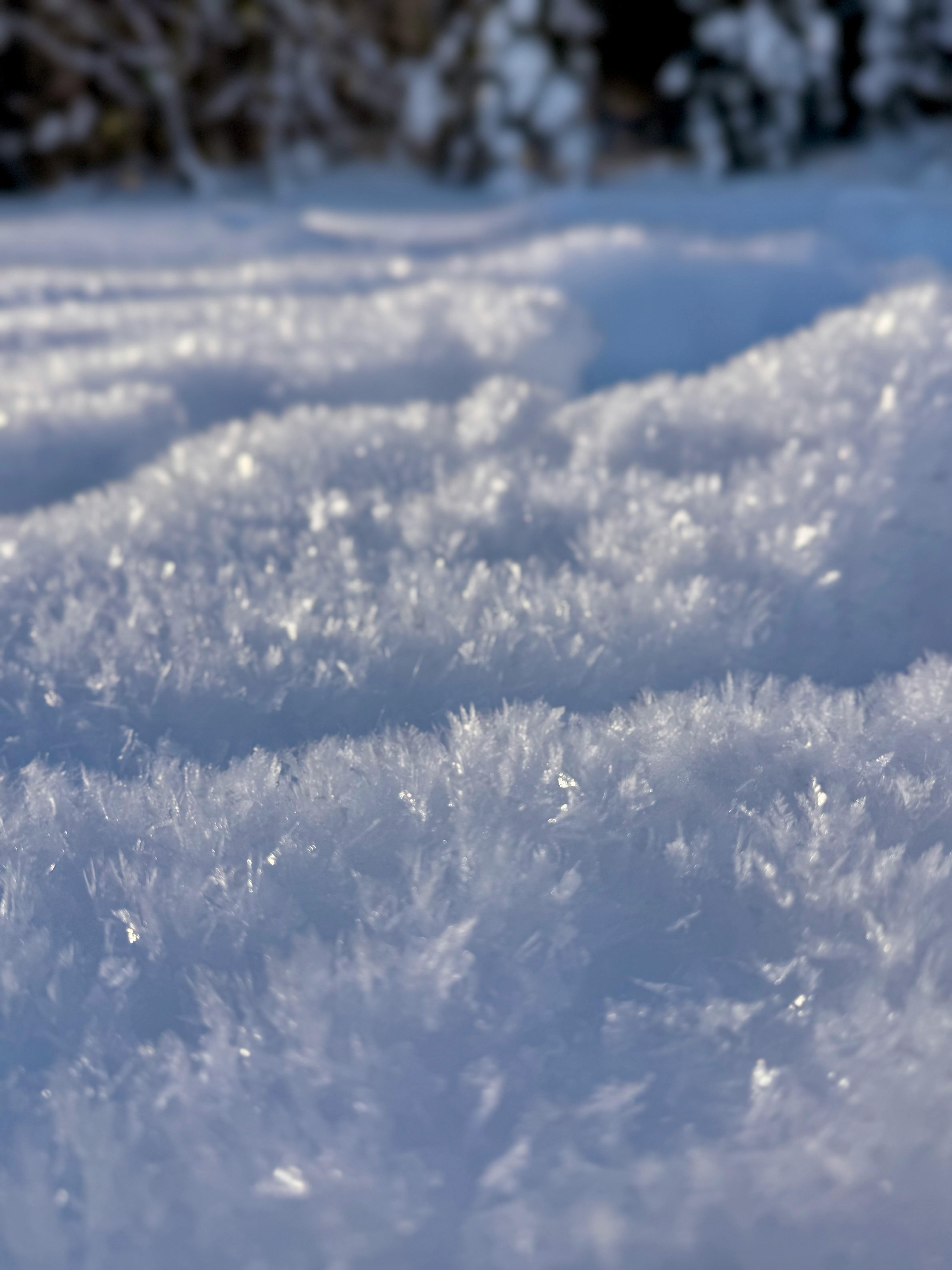 ingyenes Csillogó hókristályok részletes képe, szabadban, egy napsütéses téli napon. Stockfotó