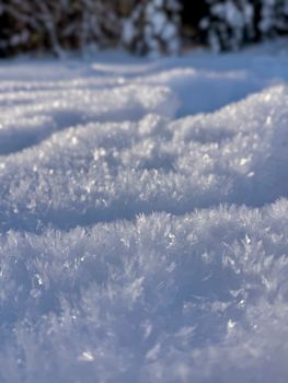 Detailed view of sparkling snow crystals captured outdoors during a sunny winter day.