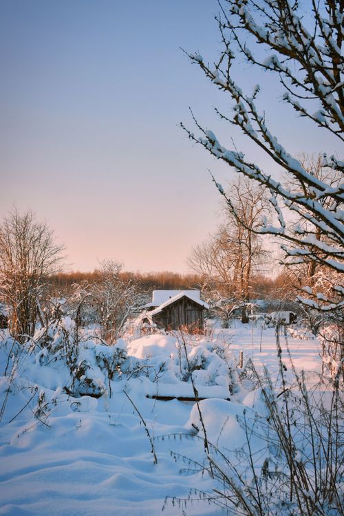 Free Serene winter scene featuring a snow-covered cabin in a quiet, rural setting during sunset. Stock Photo
