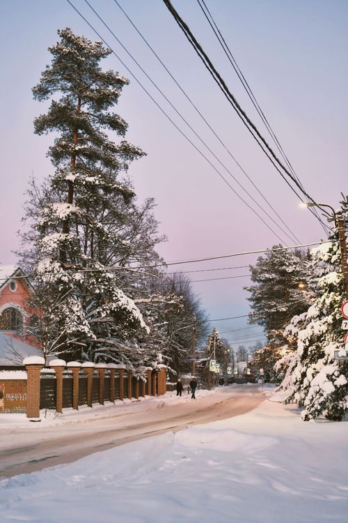 Free Snow-covered street with pine trees and pink sky at twilight, evoking a peaceful winter scene. Stock Photo