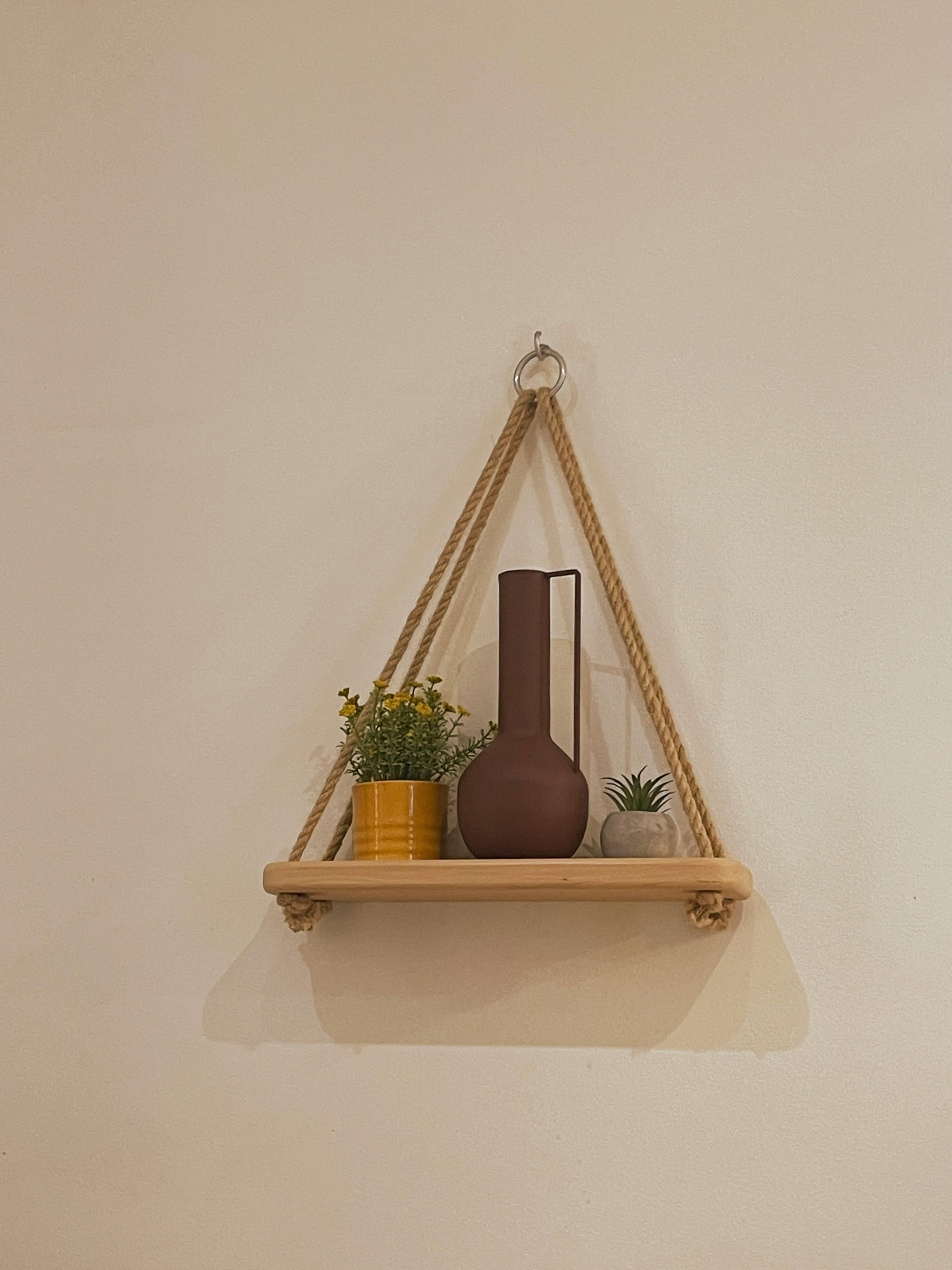 Miễn phí Kệ treo tường đẹp mắt với bình hoa màu nâu và cây cảnh, hoàn hảo để lấy cảm hứng thiết kế nội thất. Ảnh lưu trữ