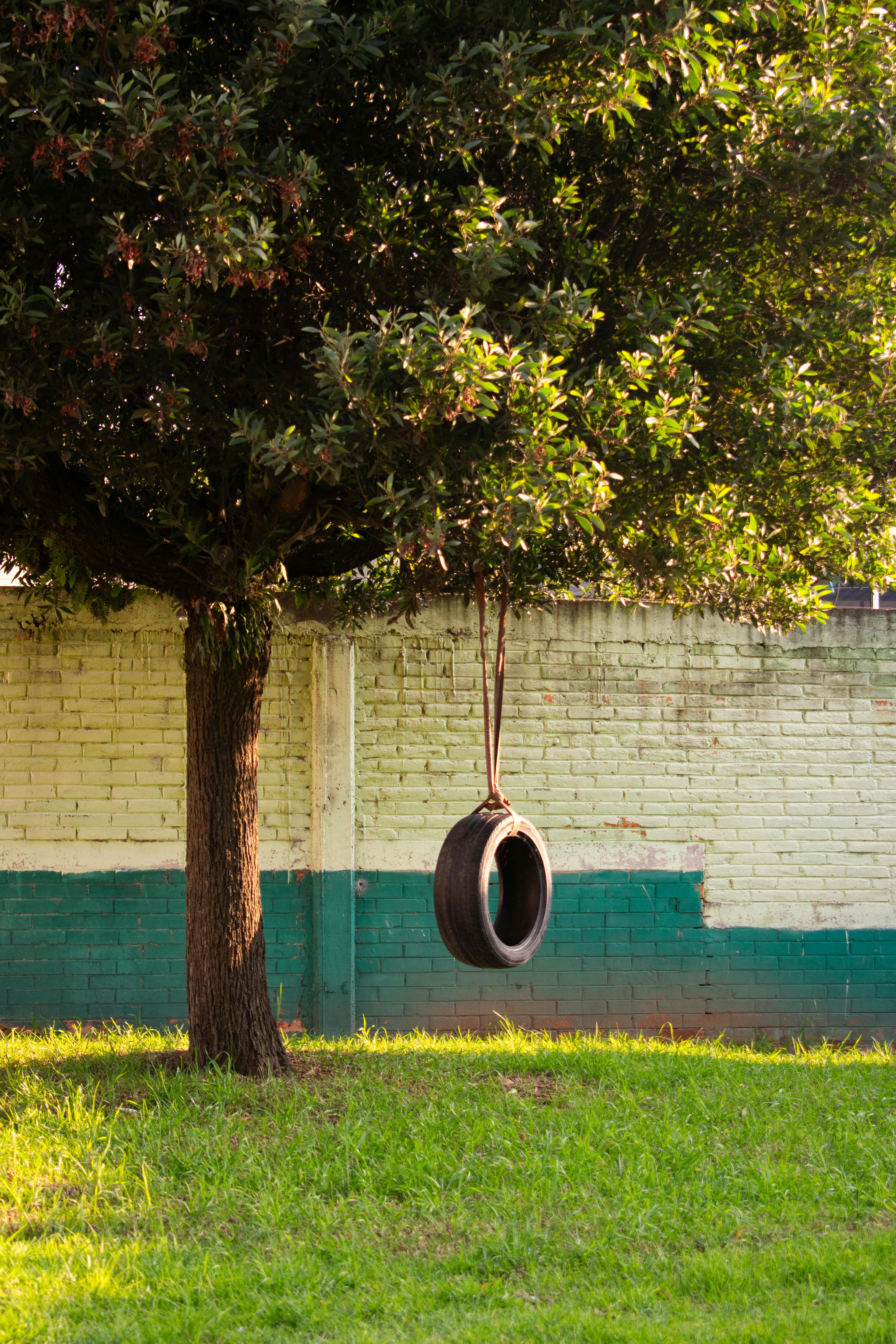 Gratis En fredelig dækgynge hænger fra et træ nær en malet væg i Lerma, Mexico under solnedgang. Lagerfoto