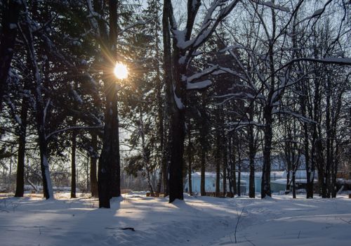 Free Sunlight breaks through a serene snow-covered forest in Tula, Russia, creating a winter wonderland. Stock Photo